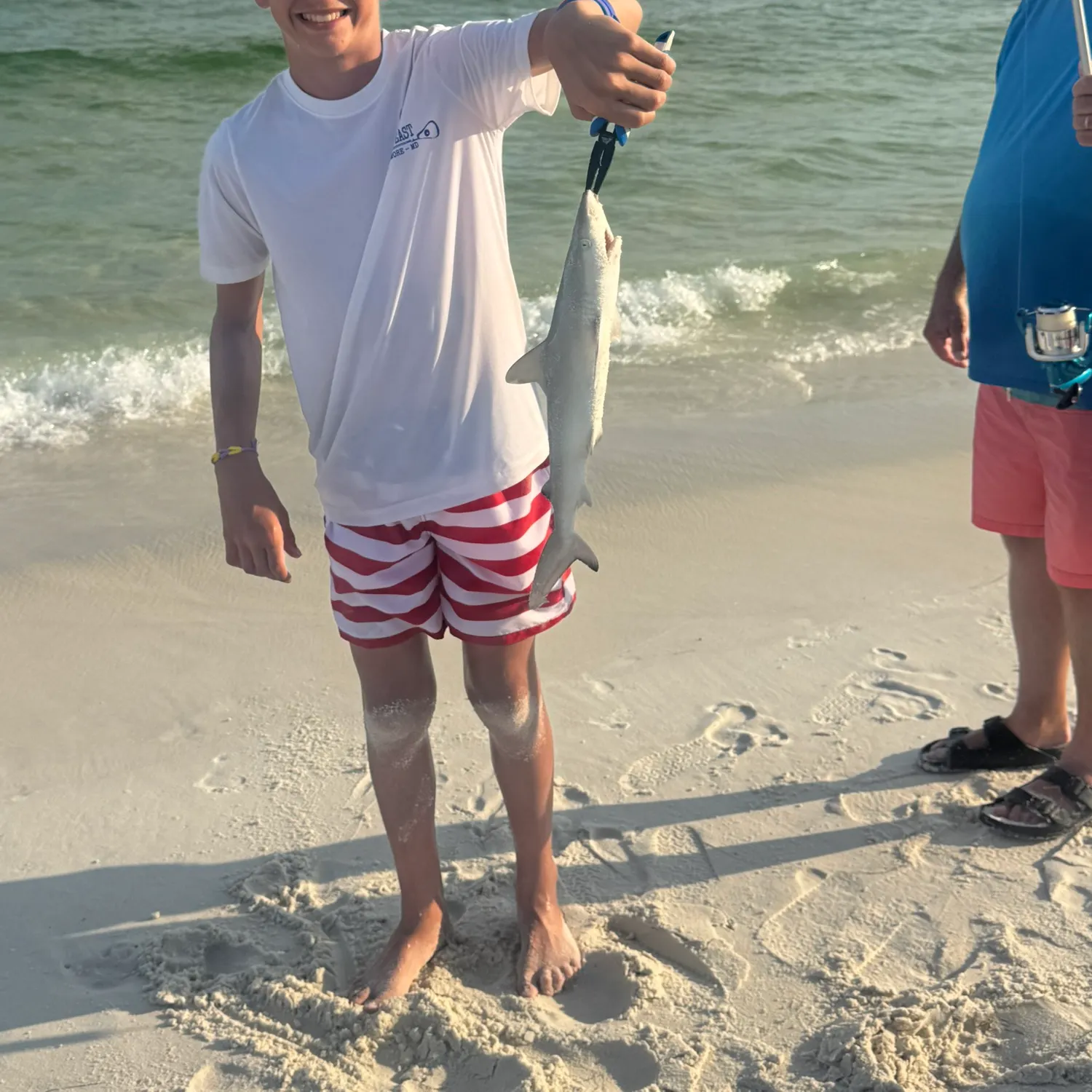 The most recent Blacktip reef shark catches on Fishbrain