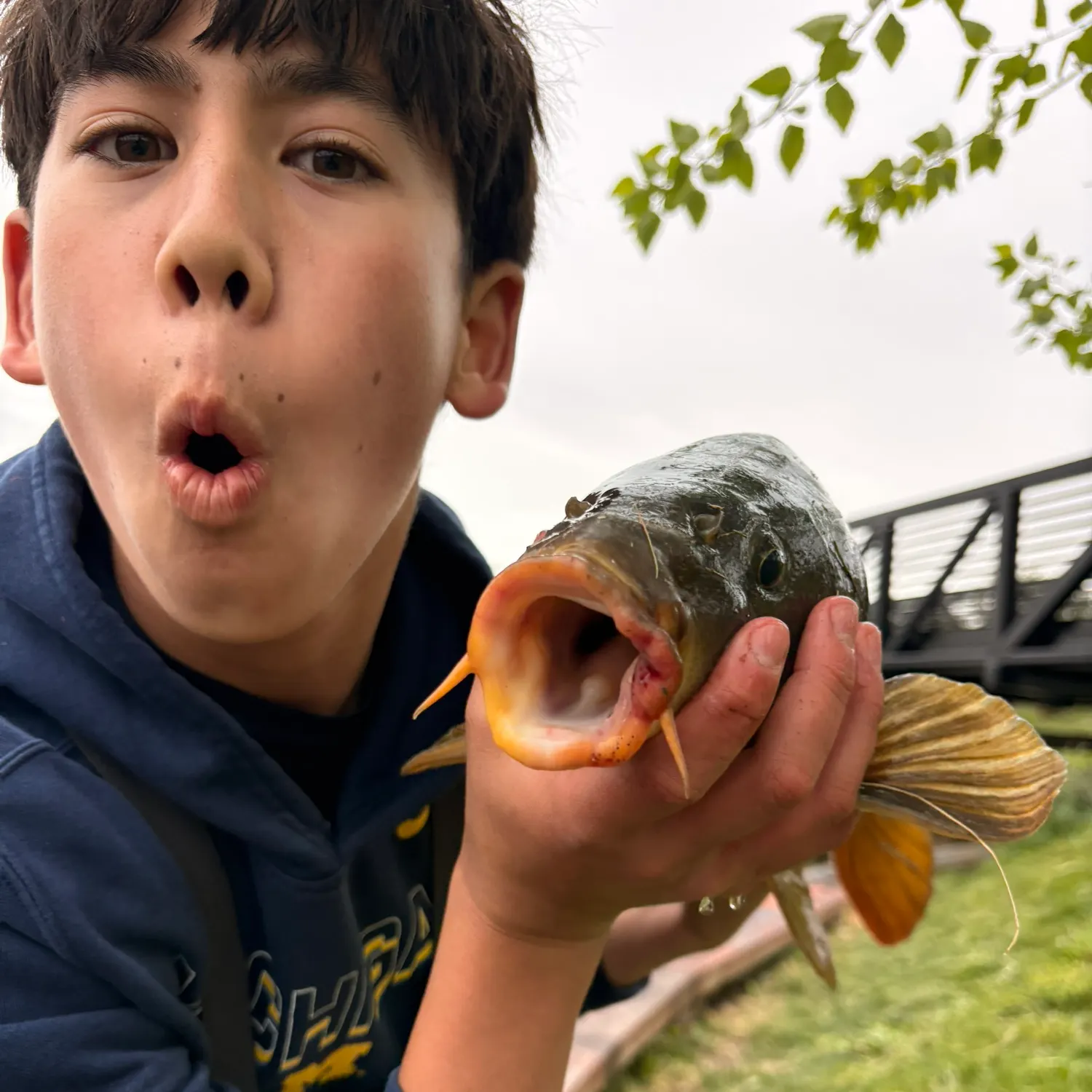 catch