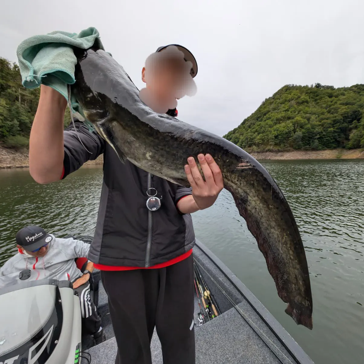 The most recent Amur catfish catches on Fishbrain