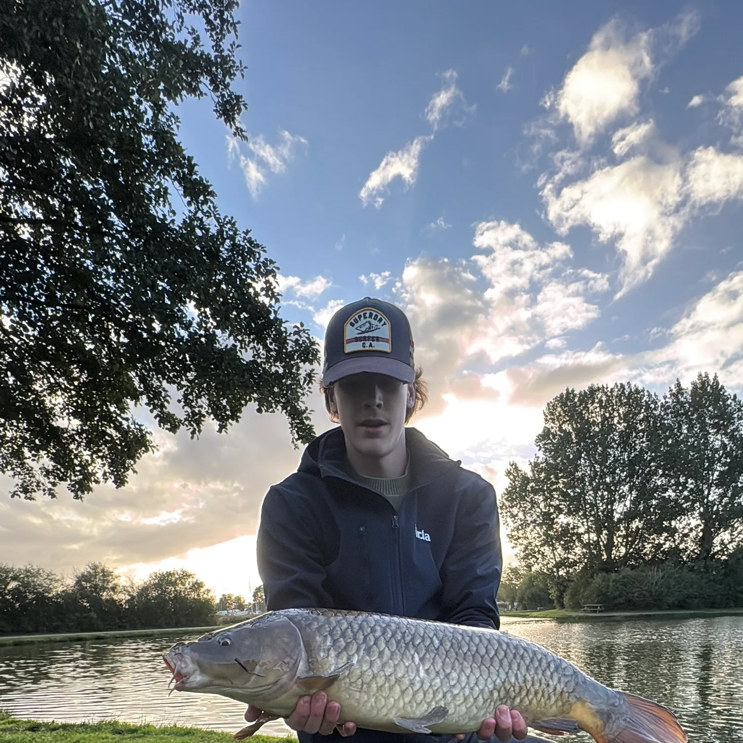 Common carp caught on Fishbrain