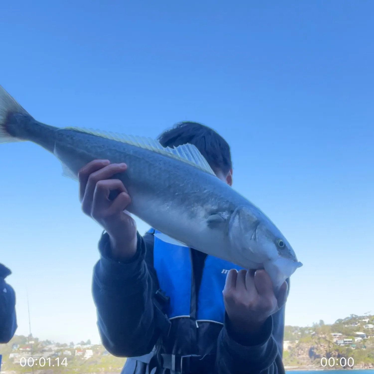 The most recent Australian salmon catches on Fishbrain