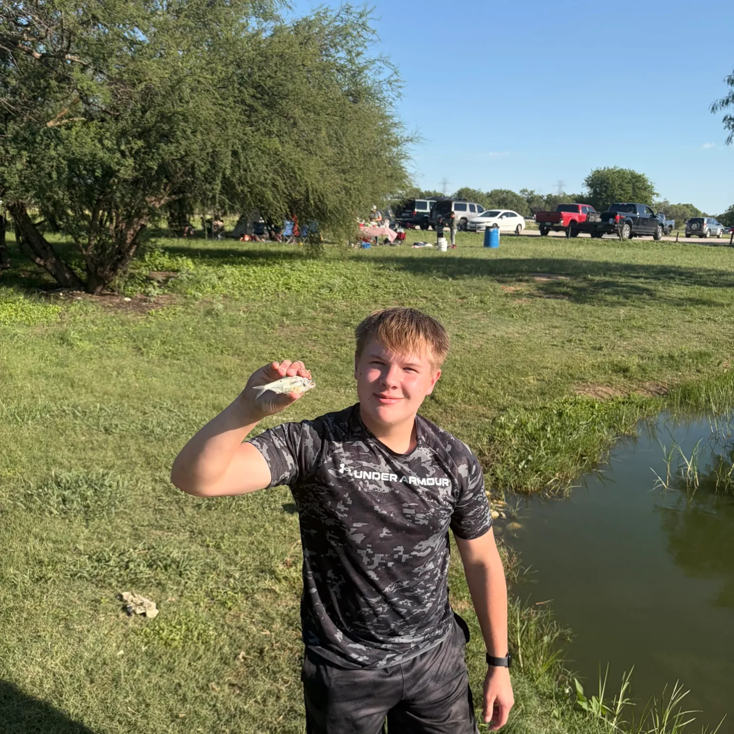 The most recent American gizzard shad catches on Fishbrain