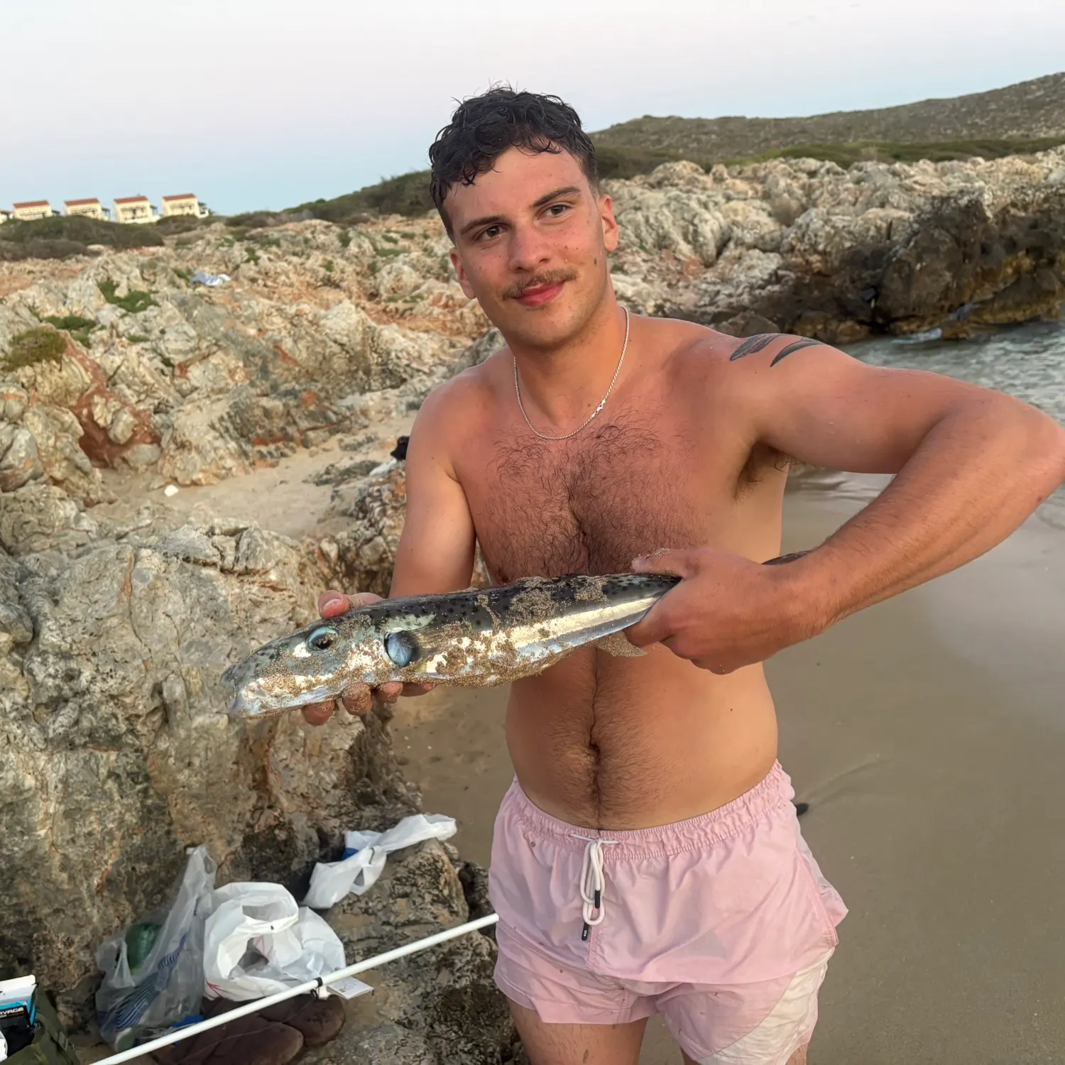 The most recent Silver-cheeked toadfish catches on Fishbrain