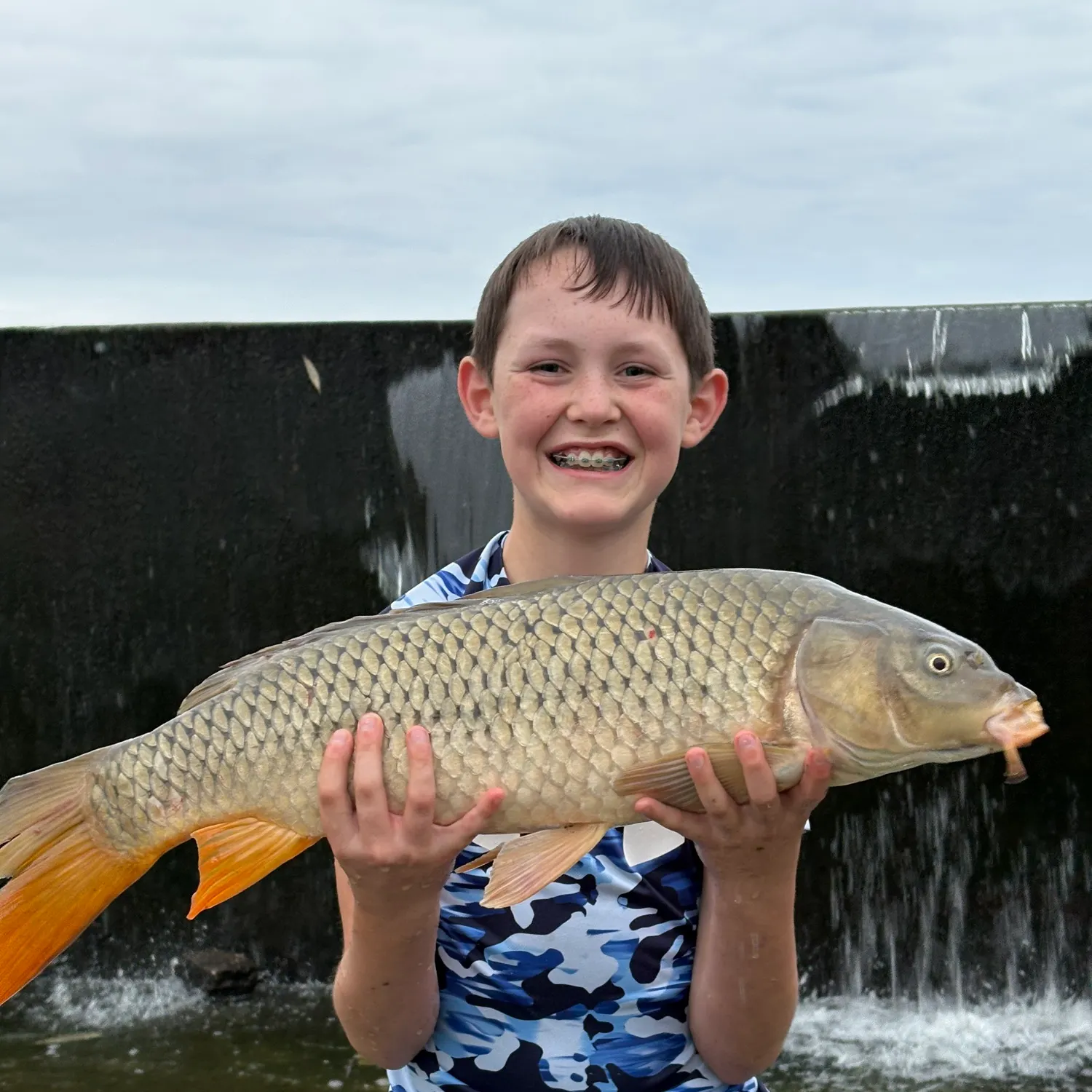 Common carp caught on Fishbrain