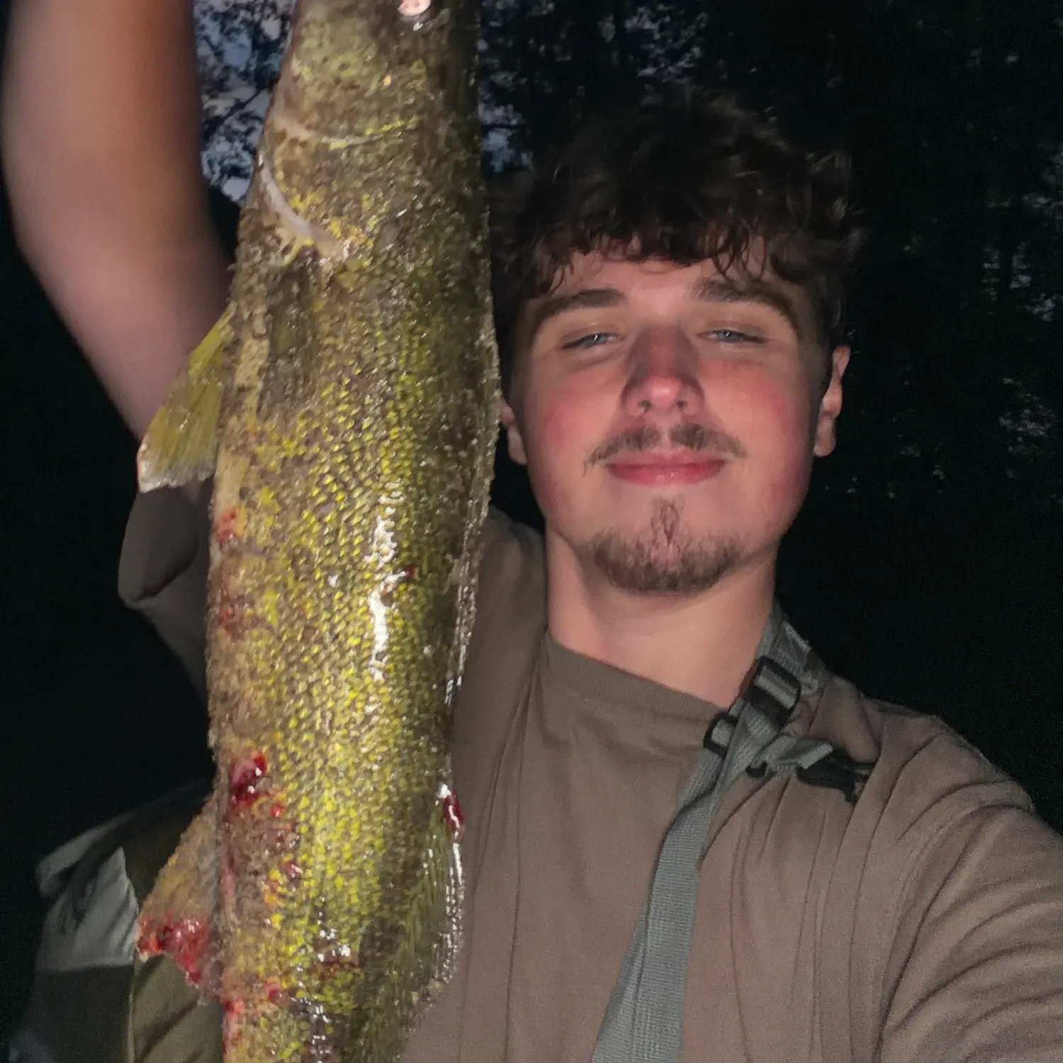 Walleye caught on Fishbrain
