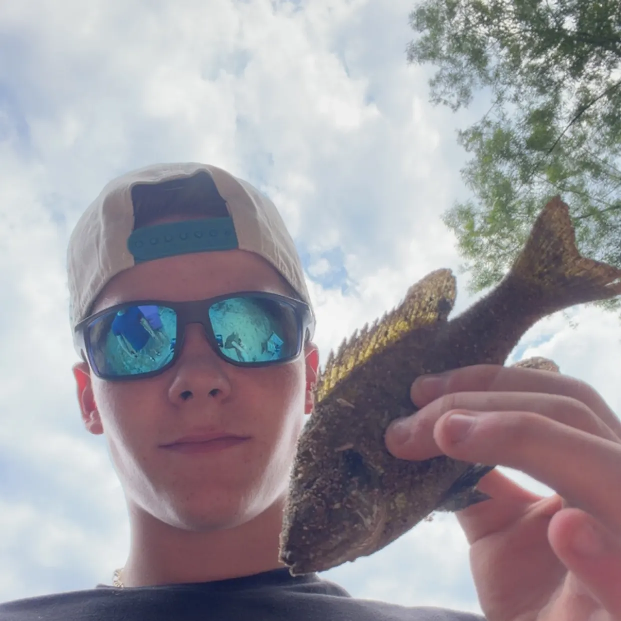 Bluegill caught on Fishbrain