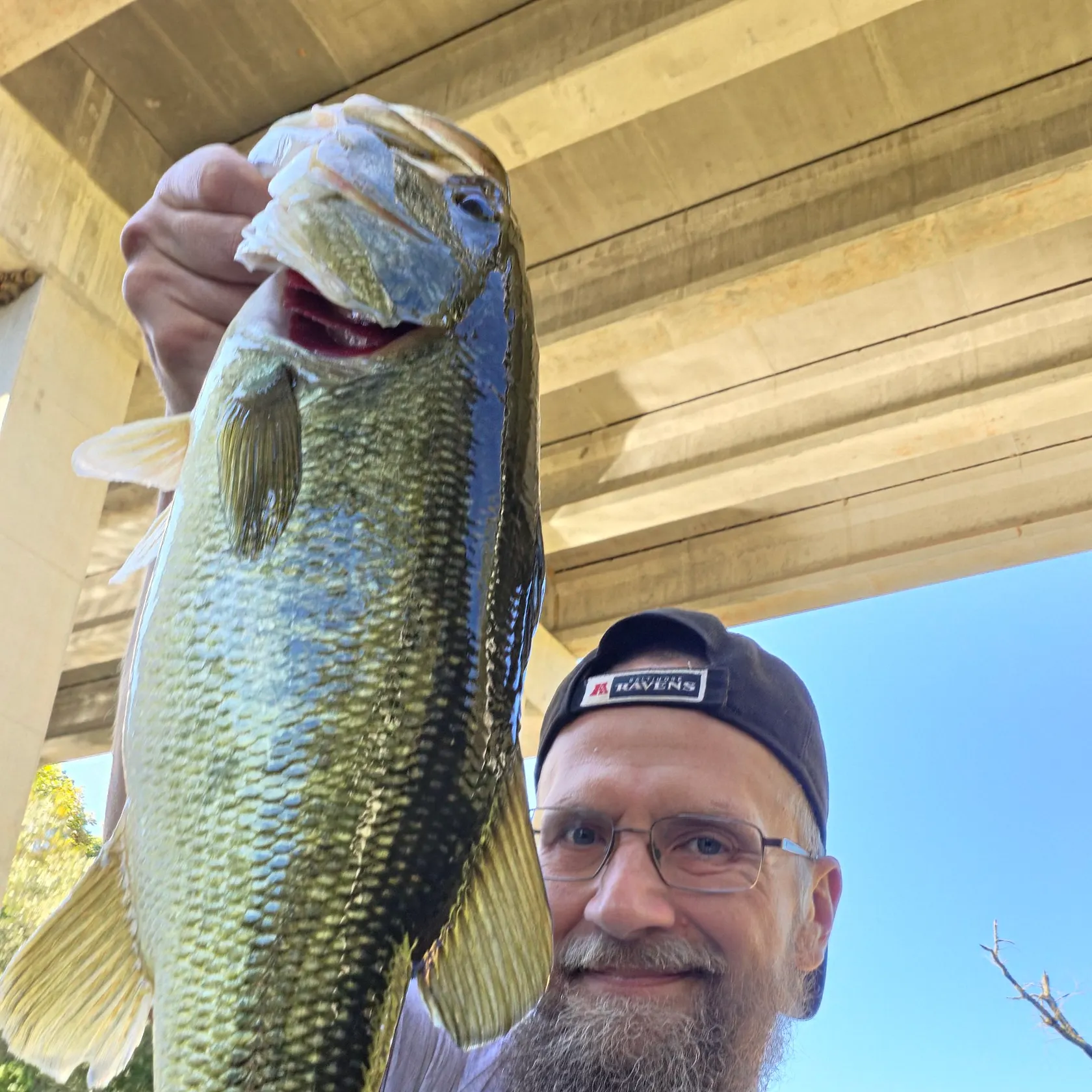 Largemouth bass caught on Fishbrain
