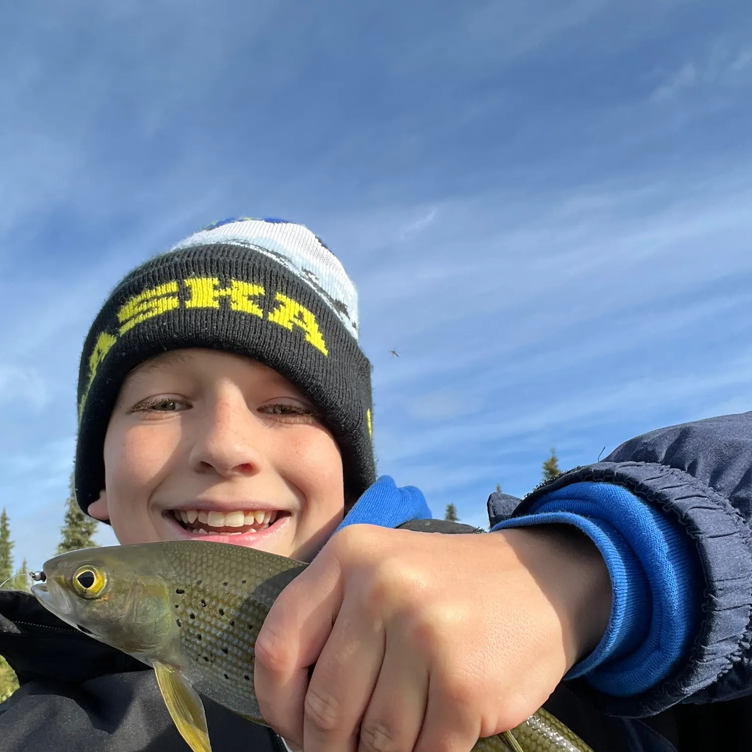 Arctic grayling caught on Fishbrain