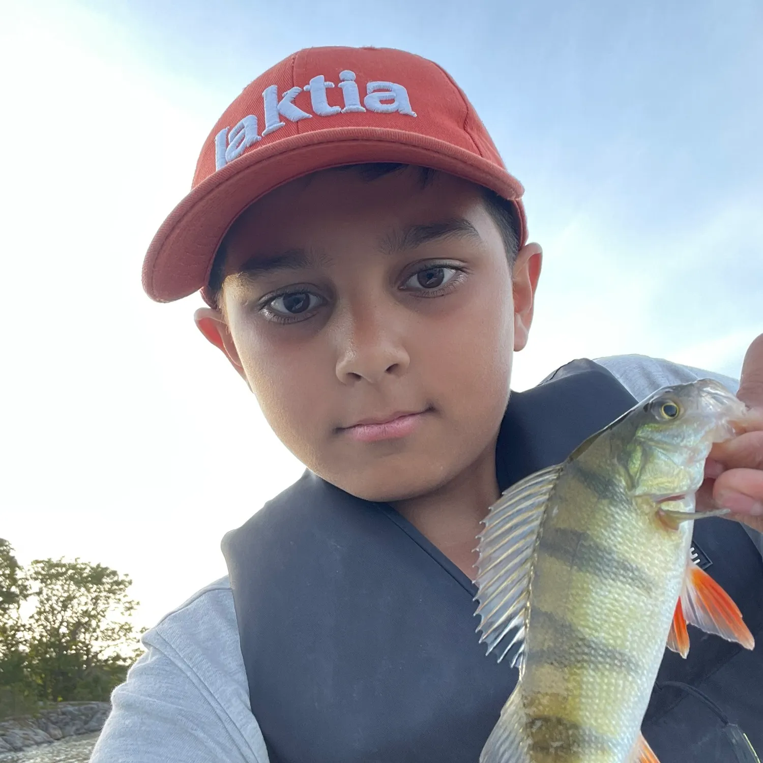 European perch caught on Fishbrain