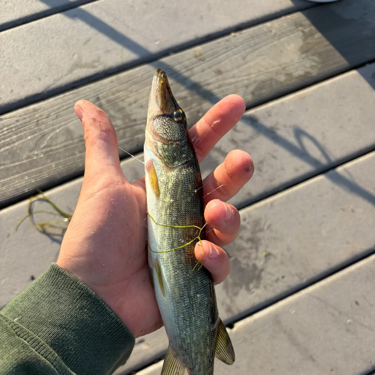 catch