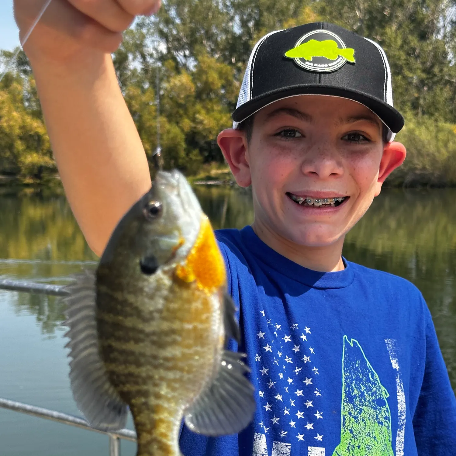 Bluegill caught on Fishbrain