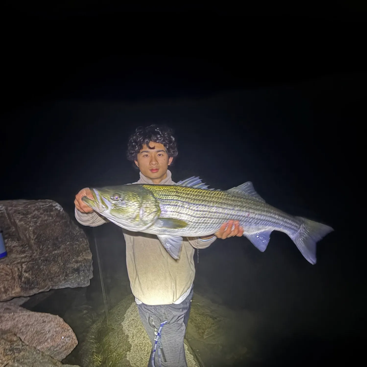 Striped bass caught on Fishbrain