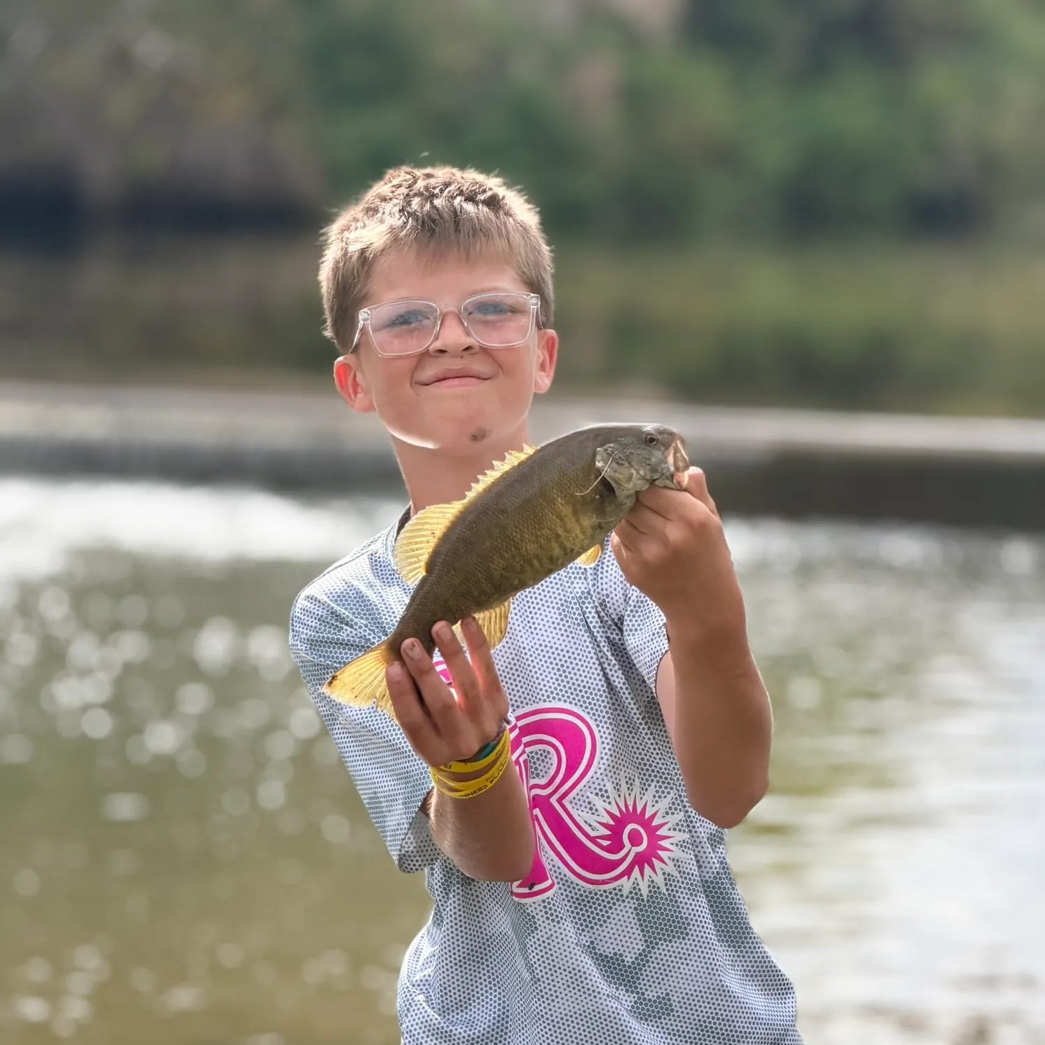 Smallmouth bass caught on Fishbrain