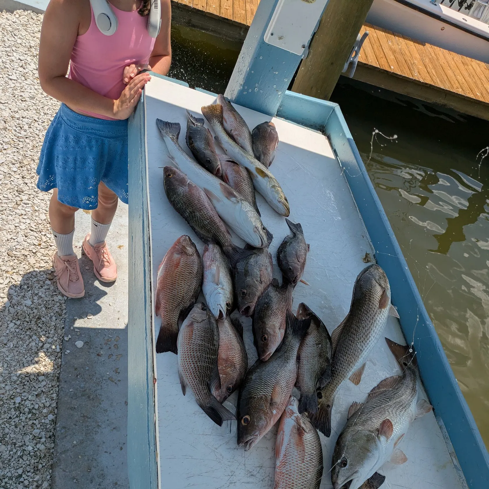 The most recent Redstripe rockfish catches on Fishbrain