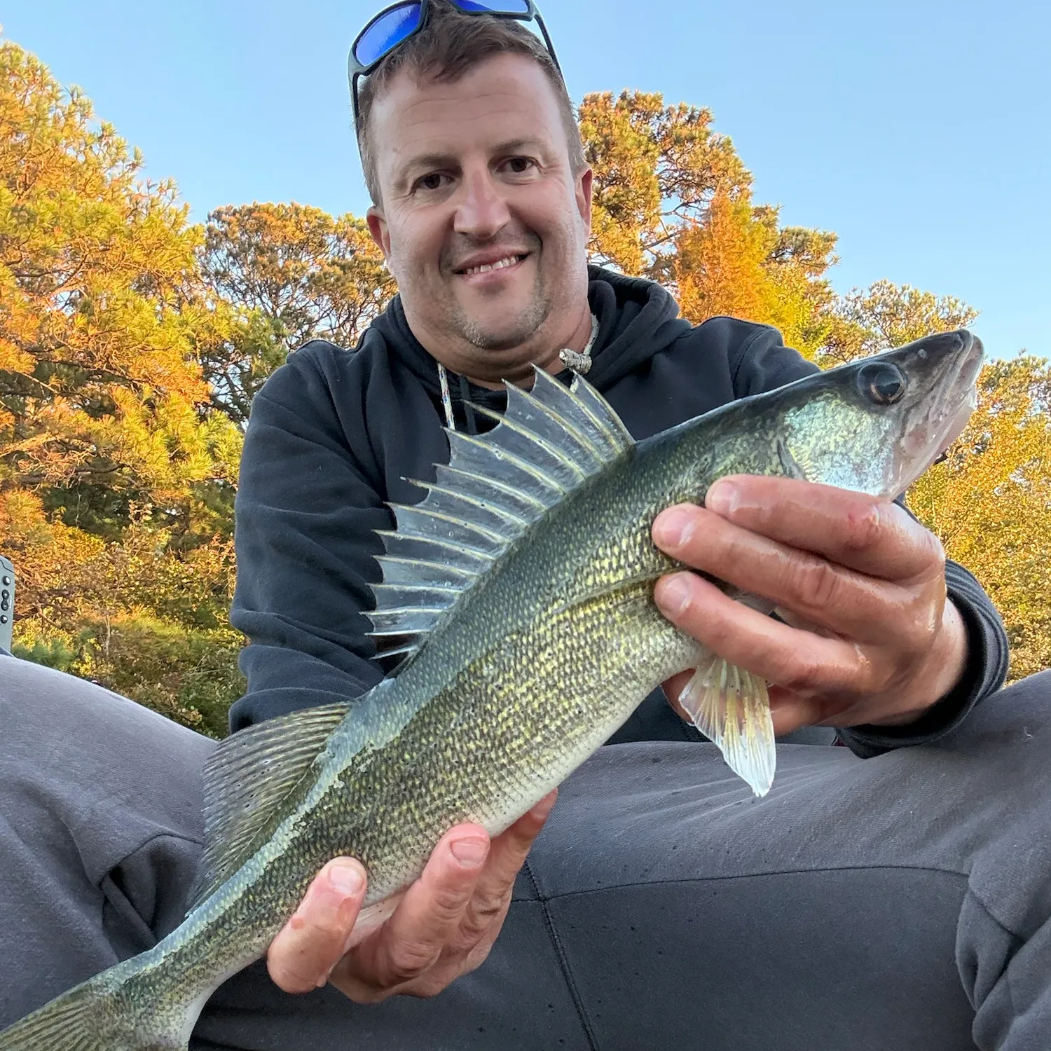 Walleye caught on Fishbrain