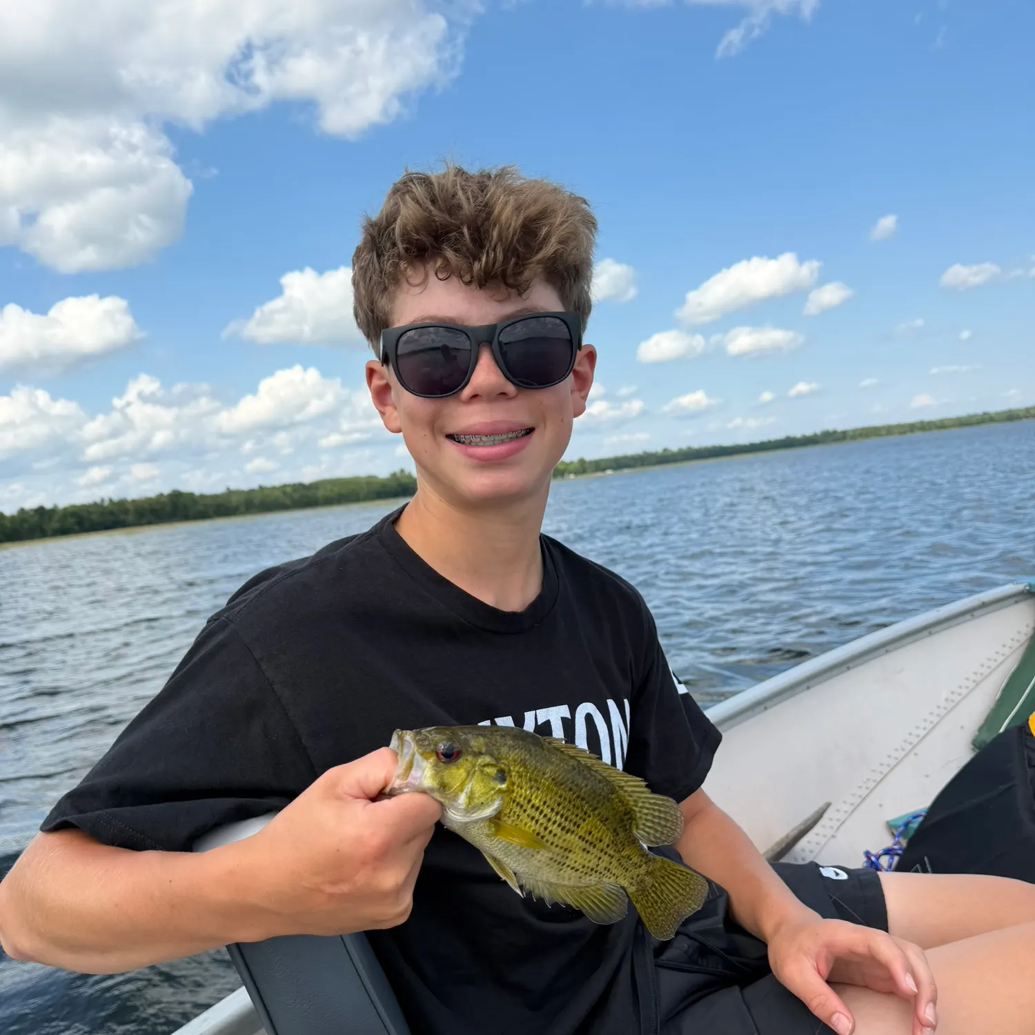 Rock bass caught on Fishbrain