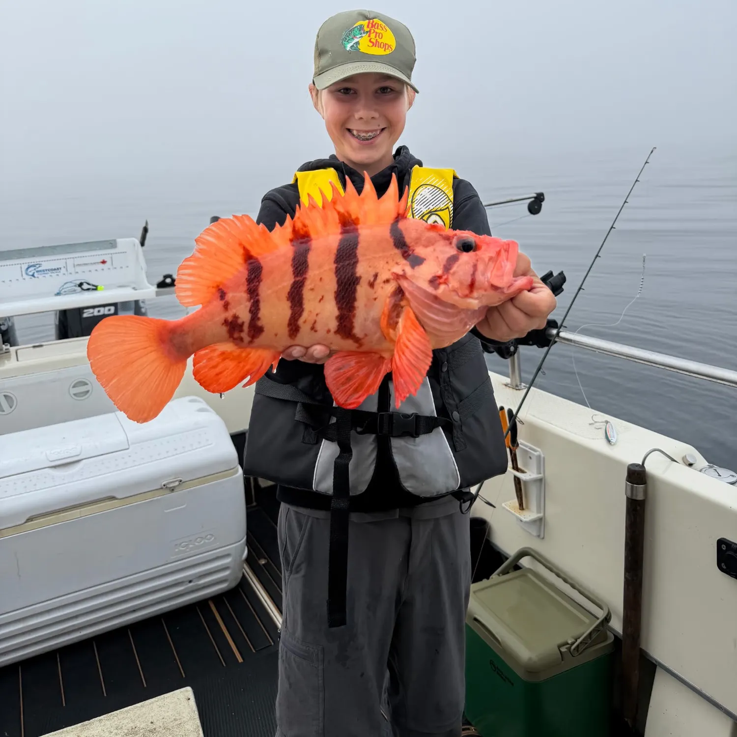 The most recent Tiger rockfish catches on Fishbrain