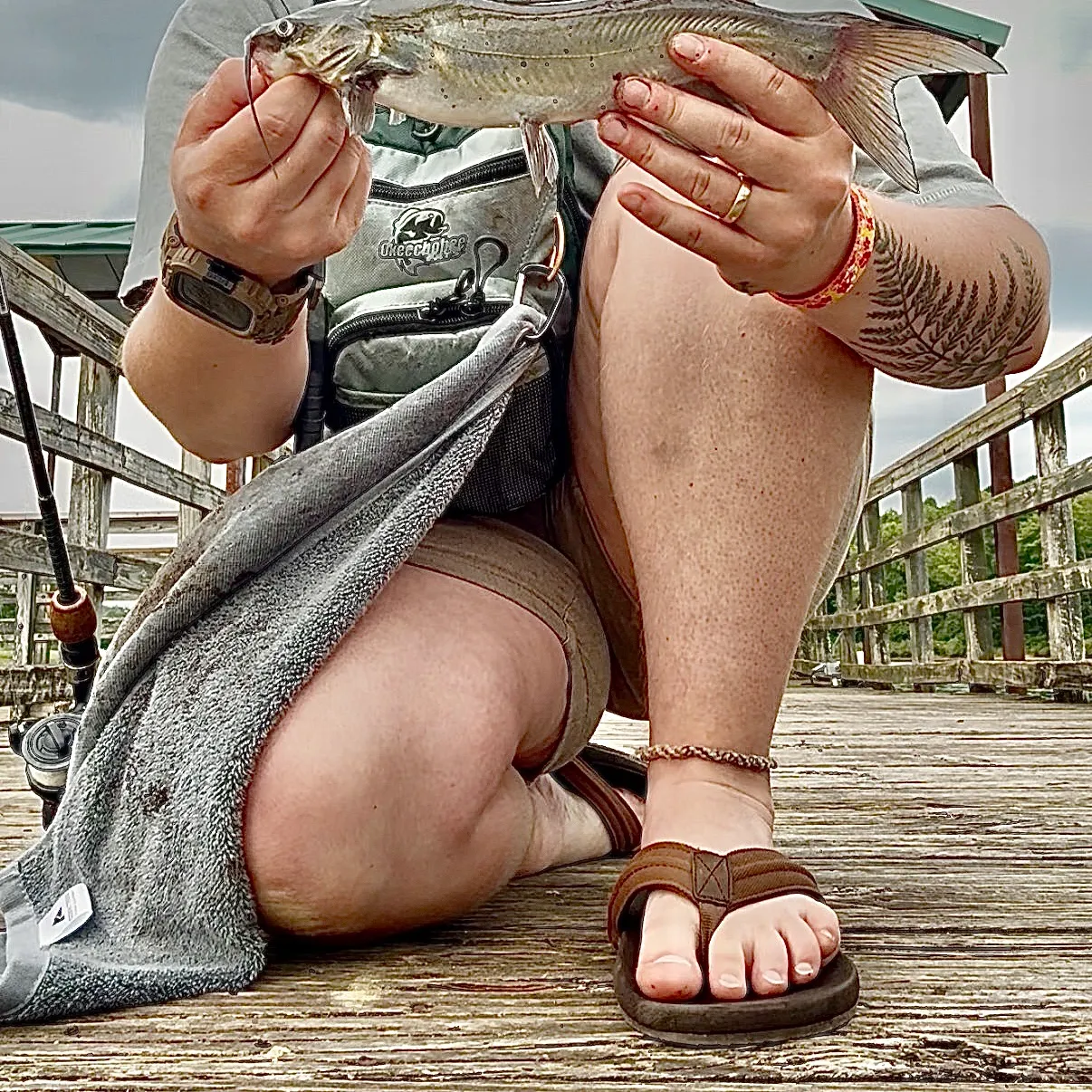 Channel catfish caught on Fishbrain