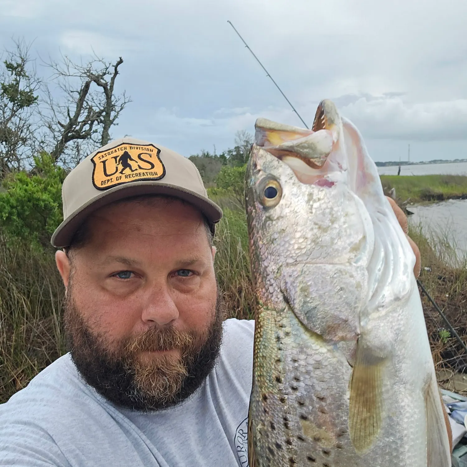 Spotted seatrout caught on Fishbrain