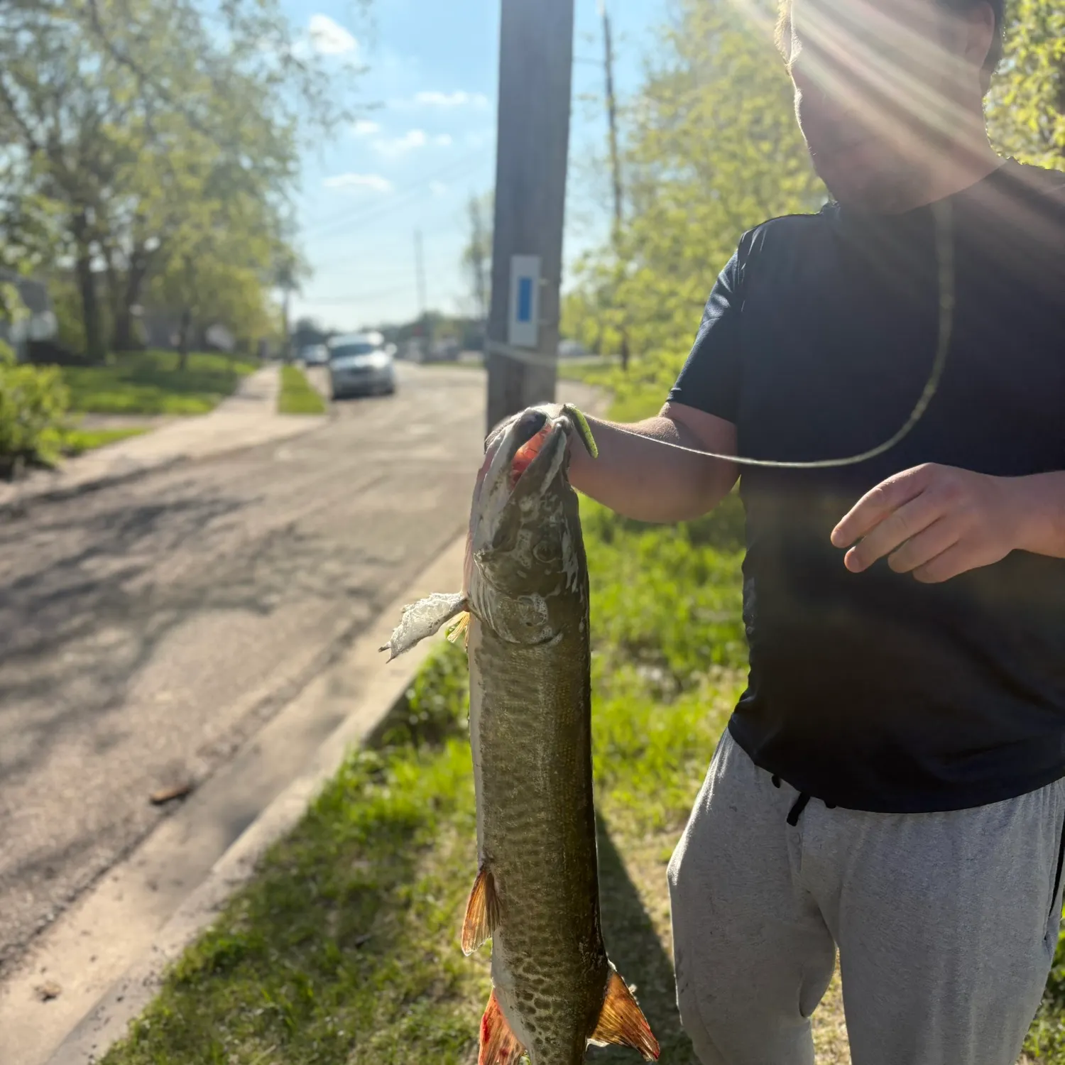 catch