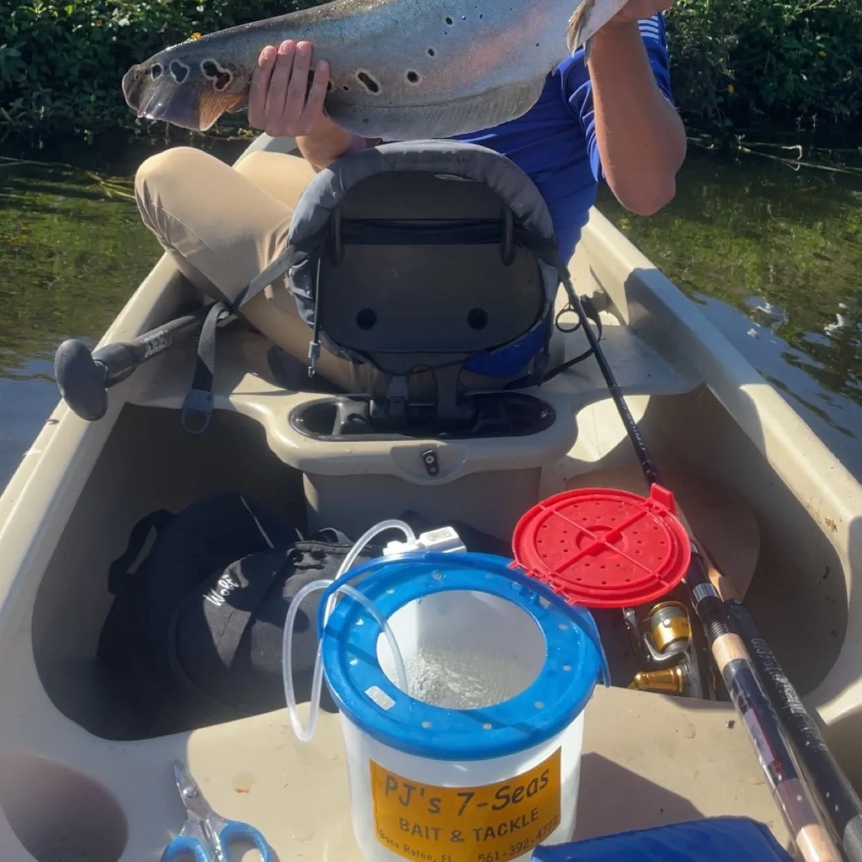 The most recent Clown knifefish catches on Fishbrain