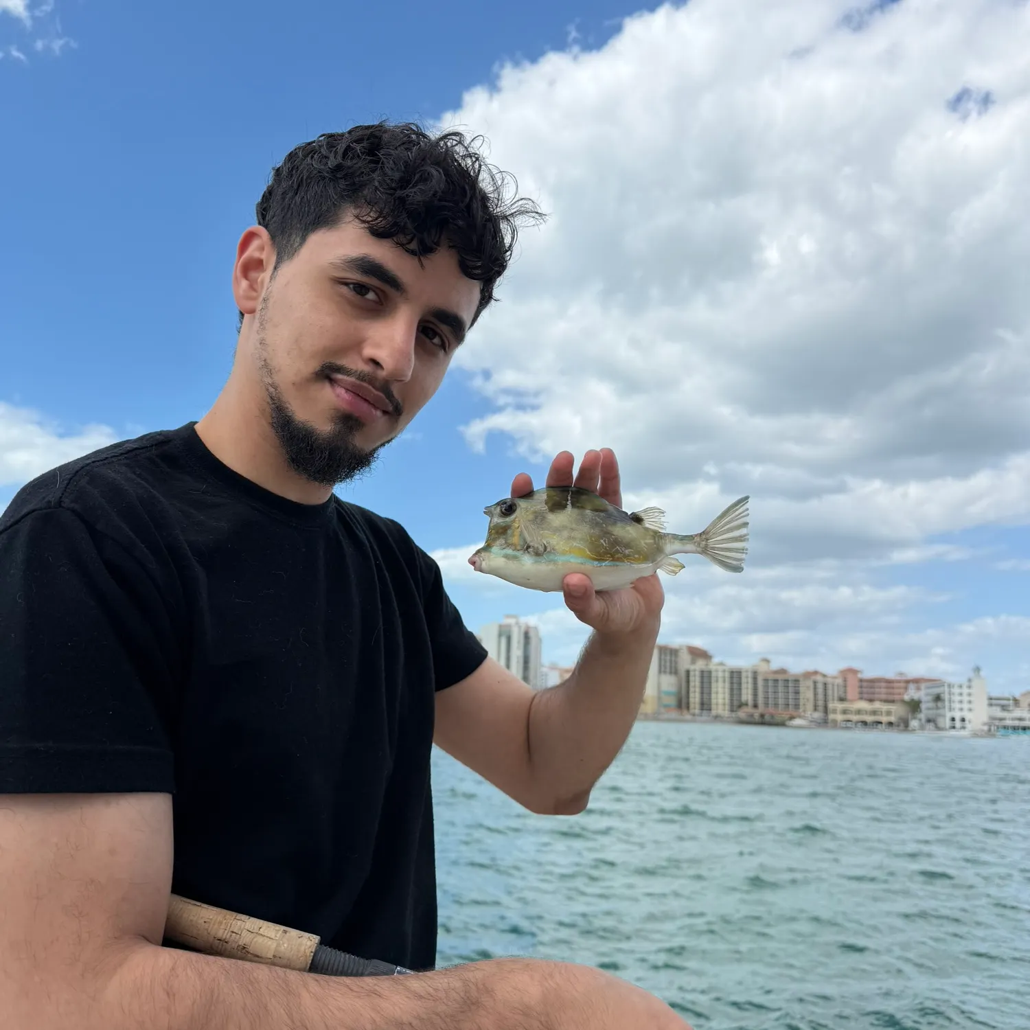 The most recent Shortnose boxfish catches on Fishbrain
