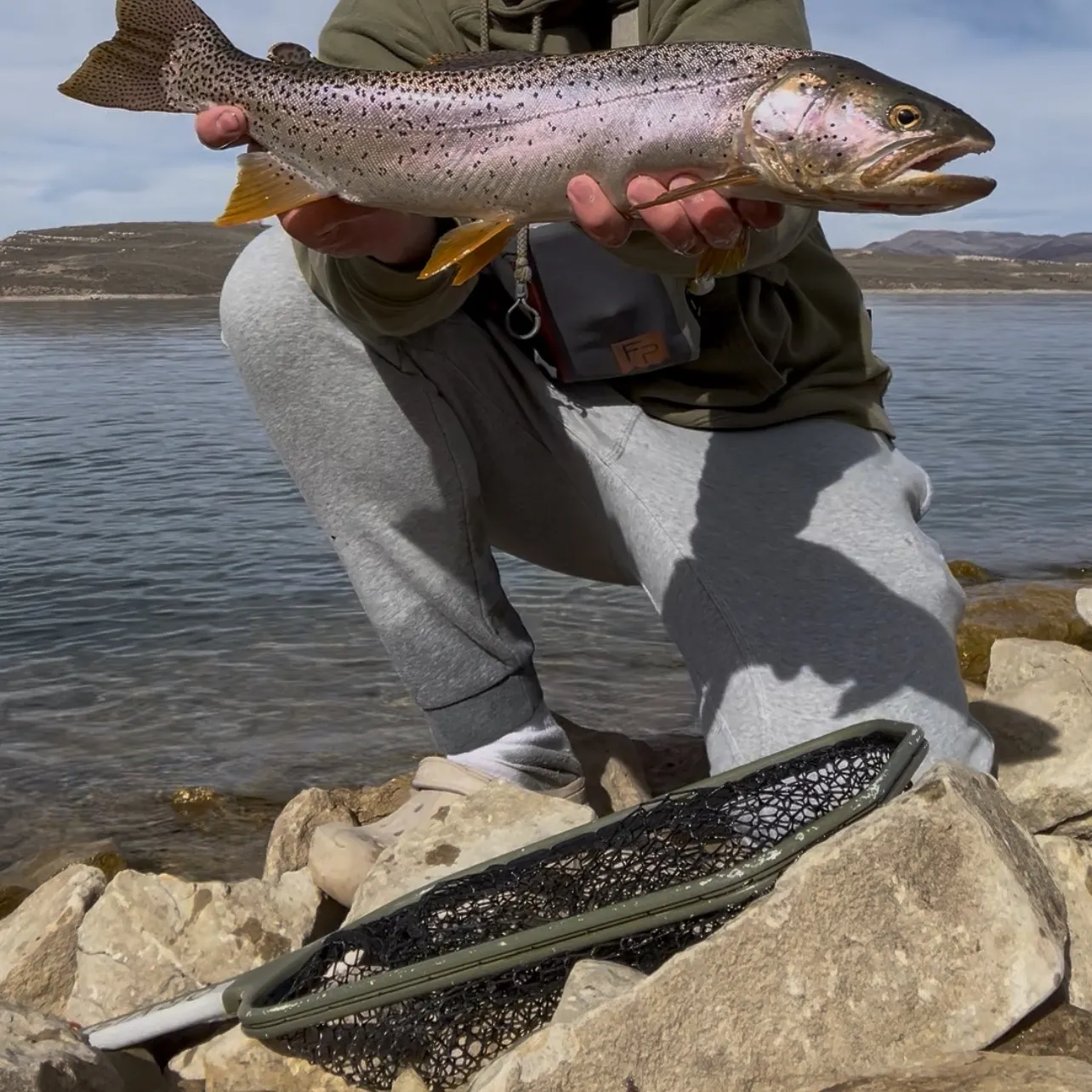 The most recent Bear Lake cutthroat trout catches on Fishbrain