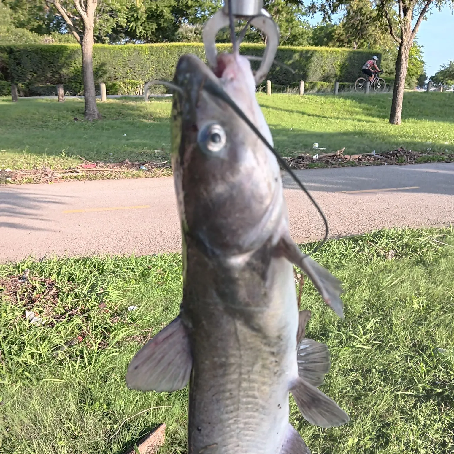 catch