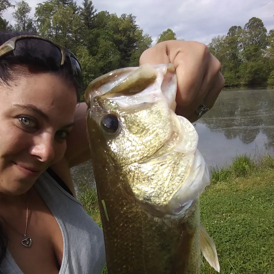 angler catch
