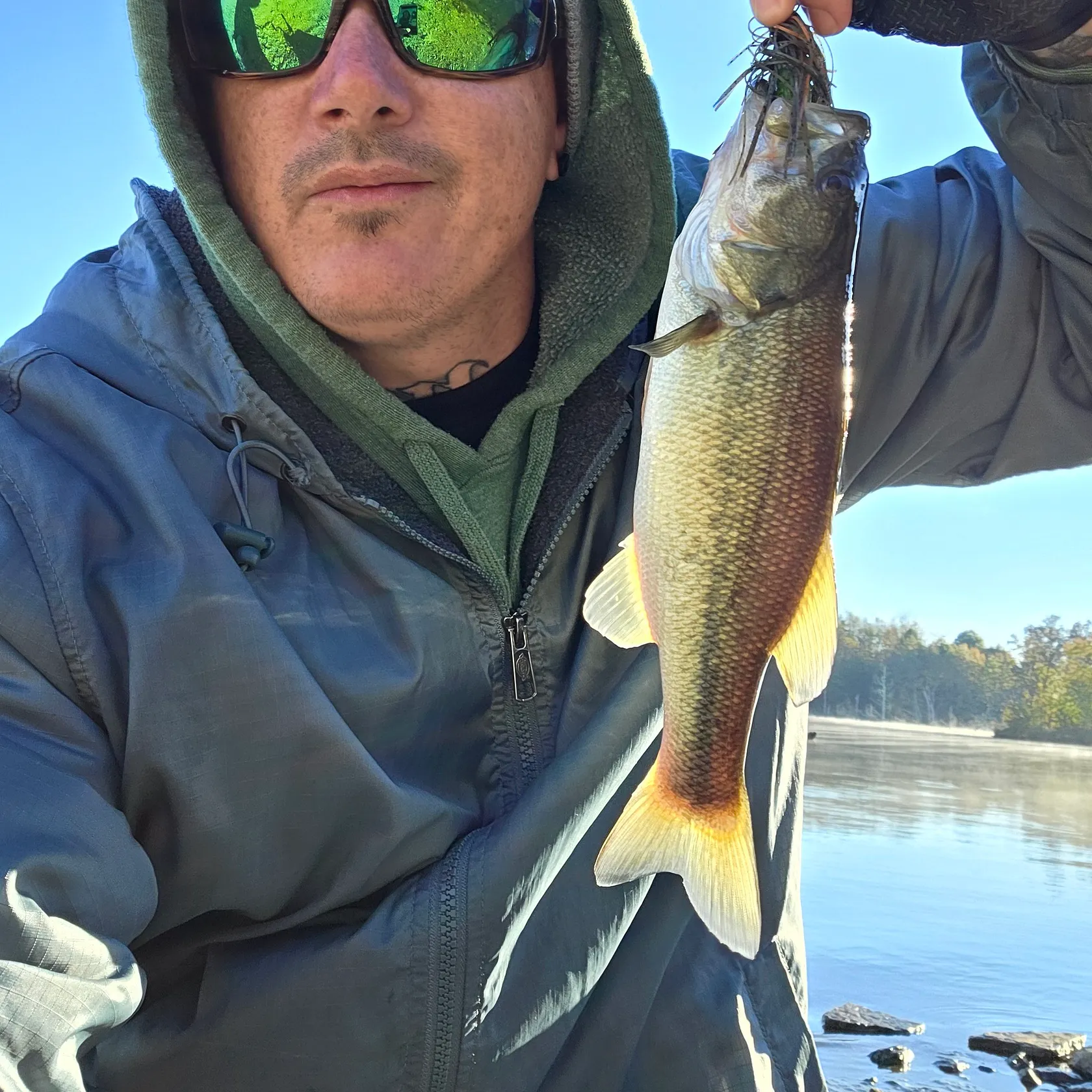 Largemouth bass caught on Fishbrain