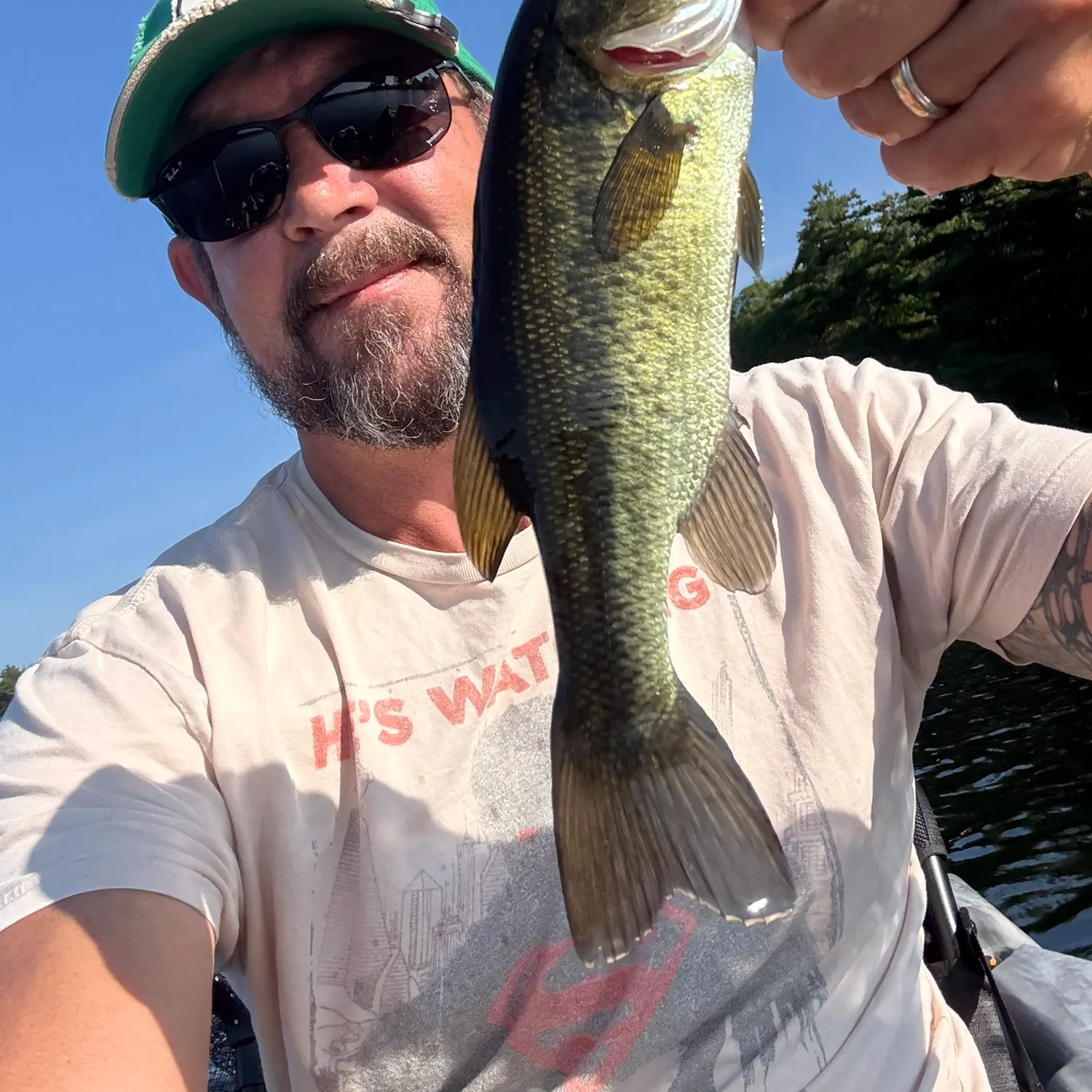 Largemouth bass caught on Fishbrain