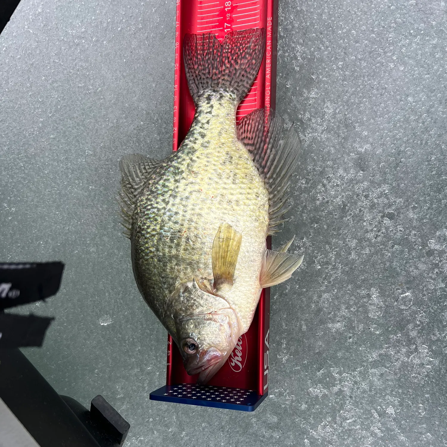 angler catch