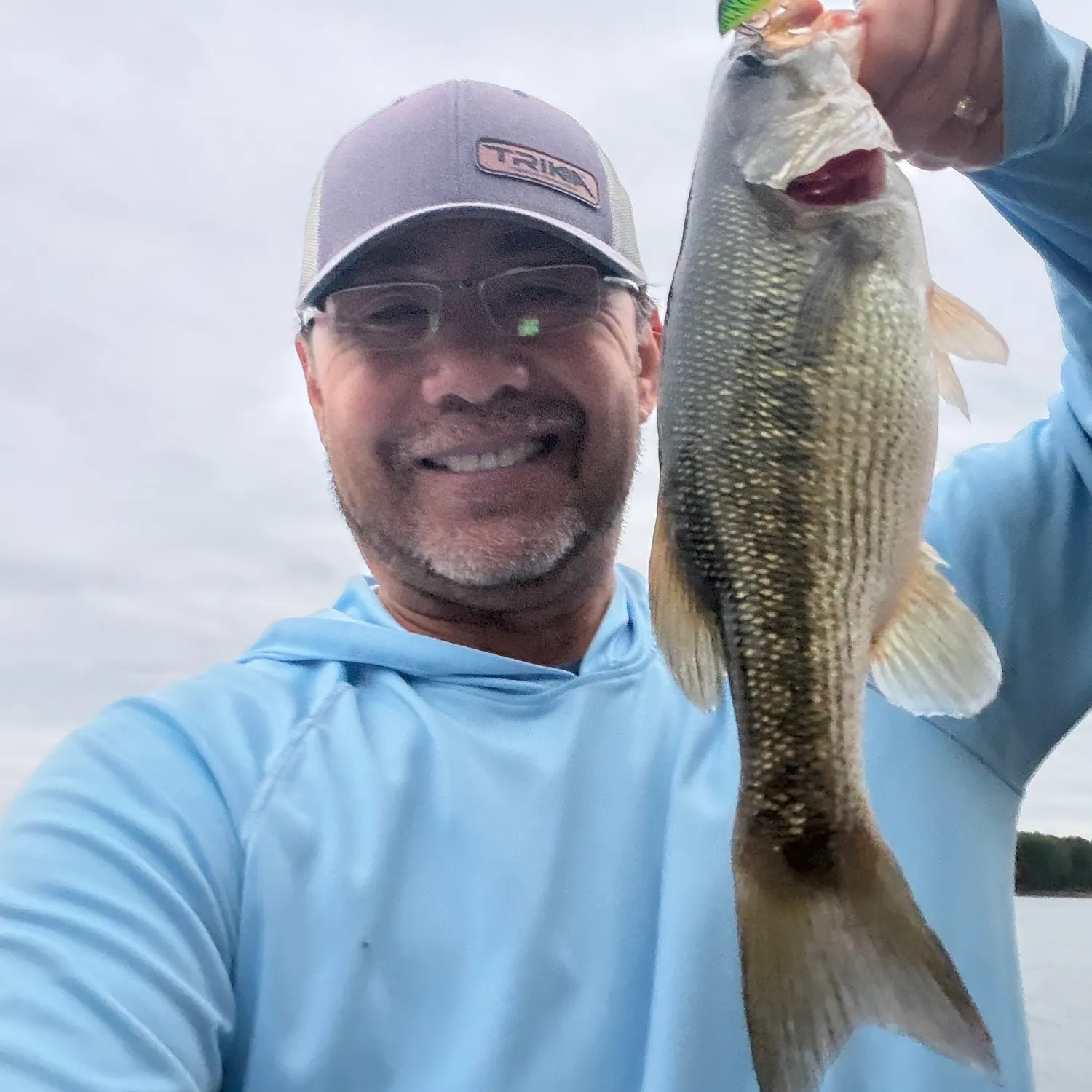 Spotted bass caught on Fishbrain