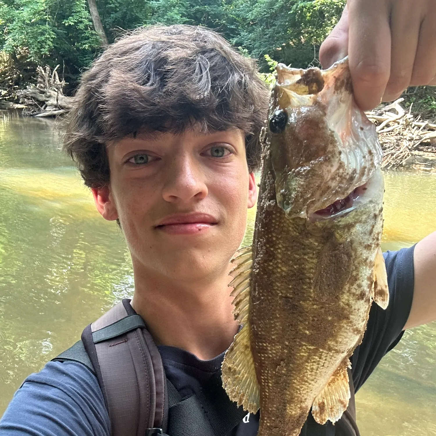 The most recent Alabama bass catches on Fishbrain