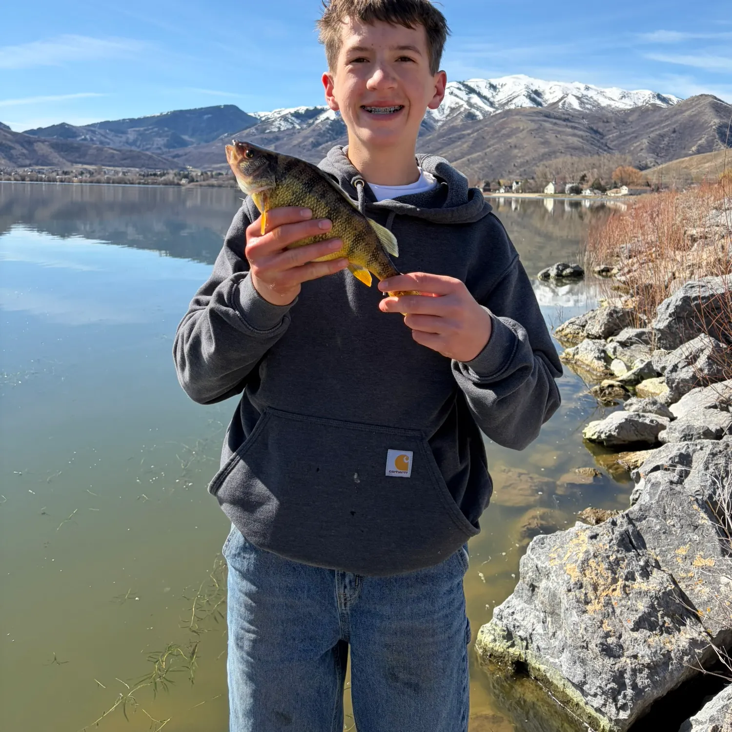The most recent Yellow perch catches on Fishbrain