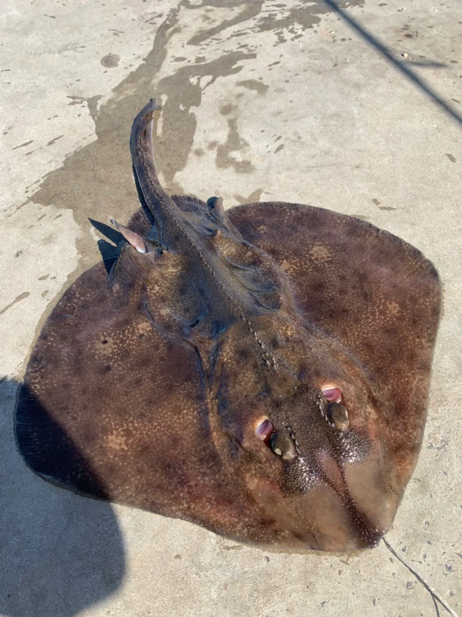 Post image from ayildirim1984