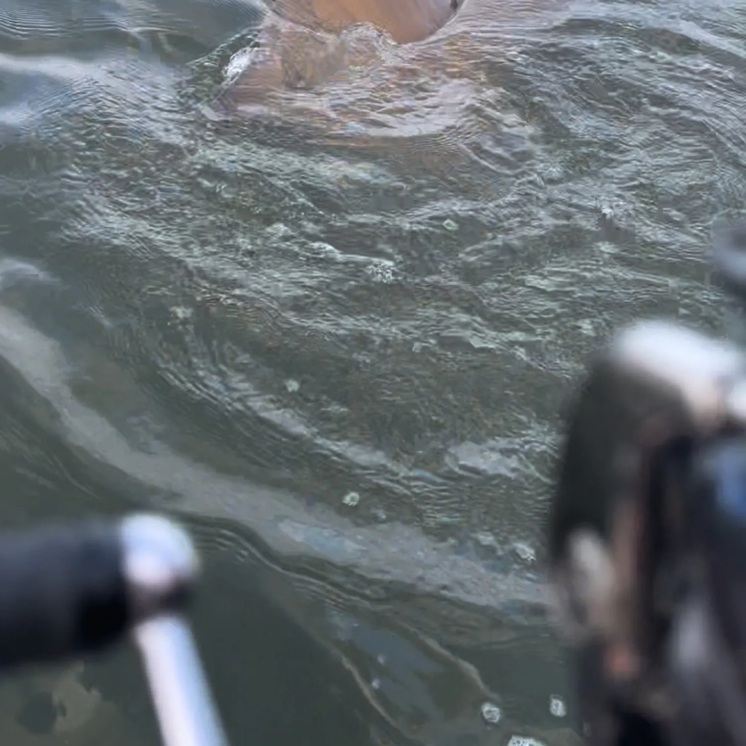 angler catch