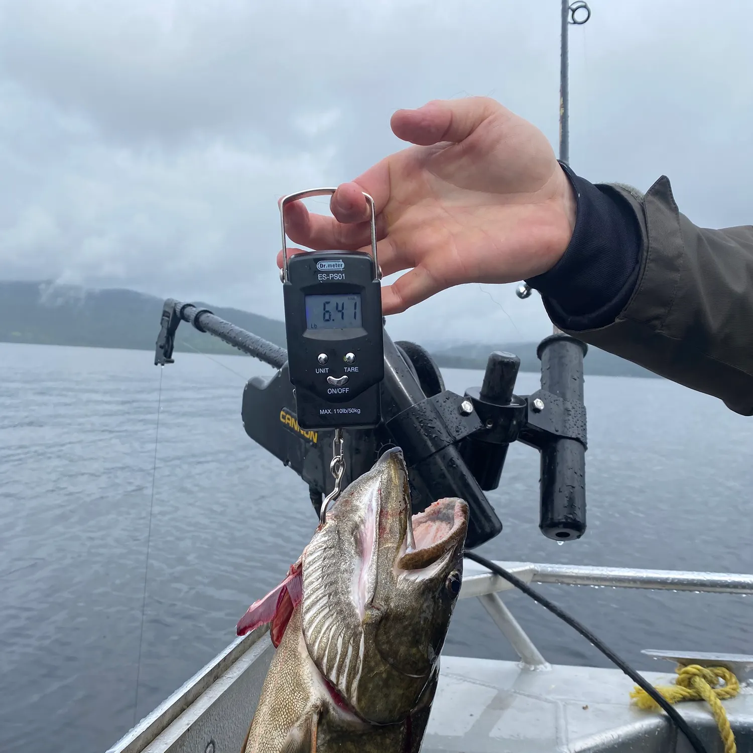 Lake char caught on Fishbrain