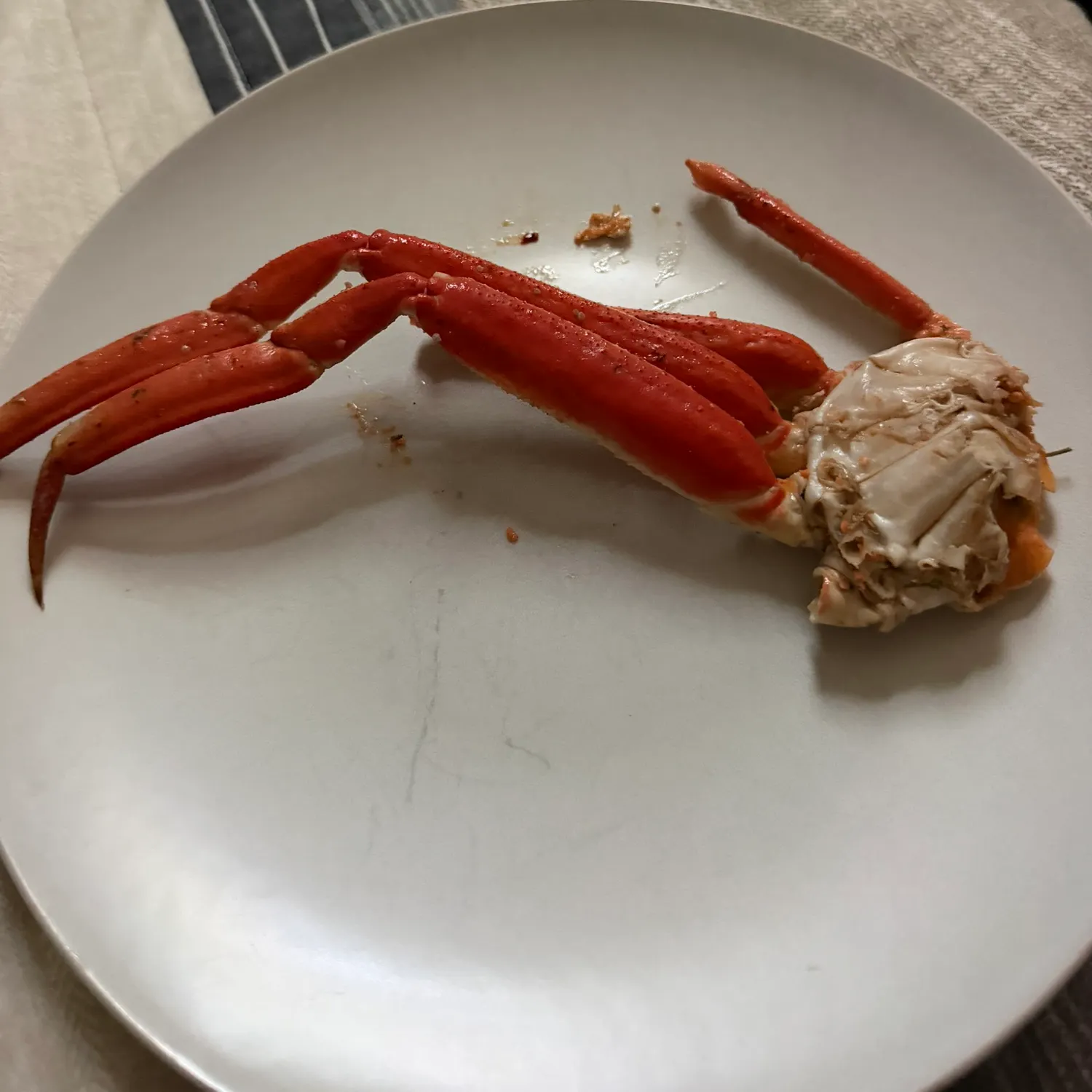 The most recent Opilio snow crab catches on Fishbrain
