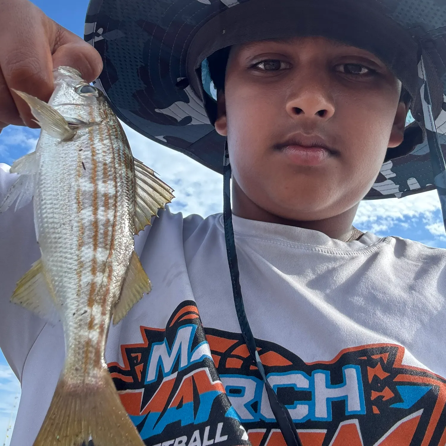 The most recent Salema porgy catches on Fishbrain