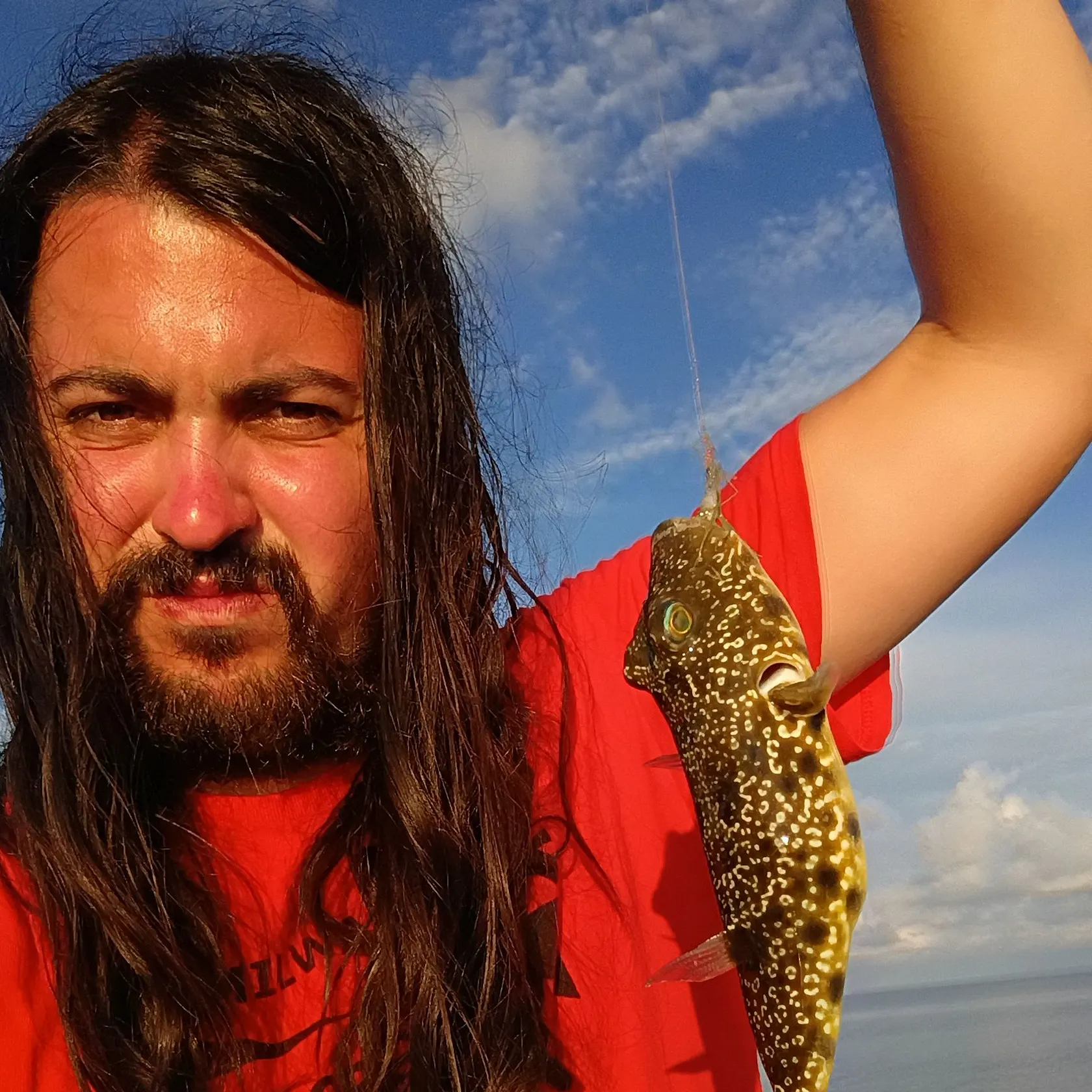 Southern puffer caught on Fishbrain