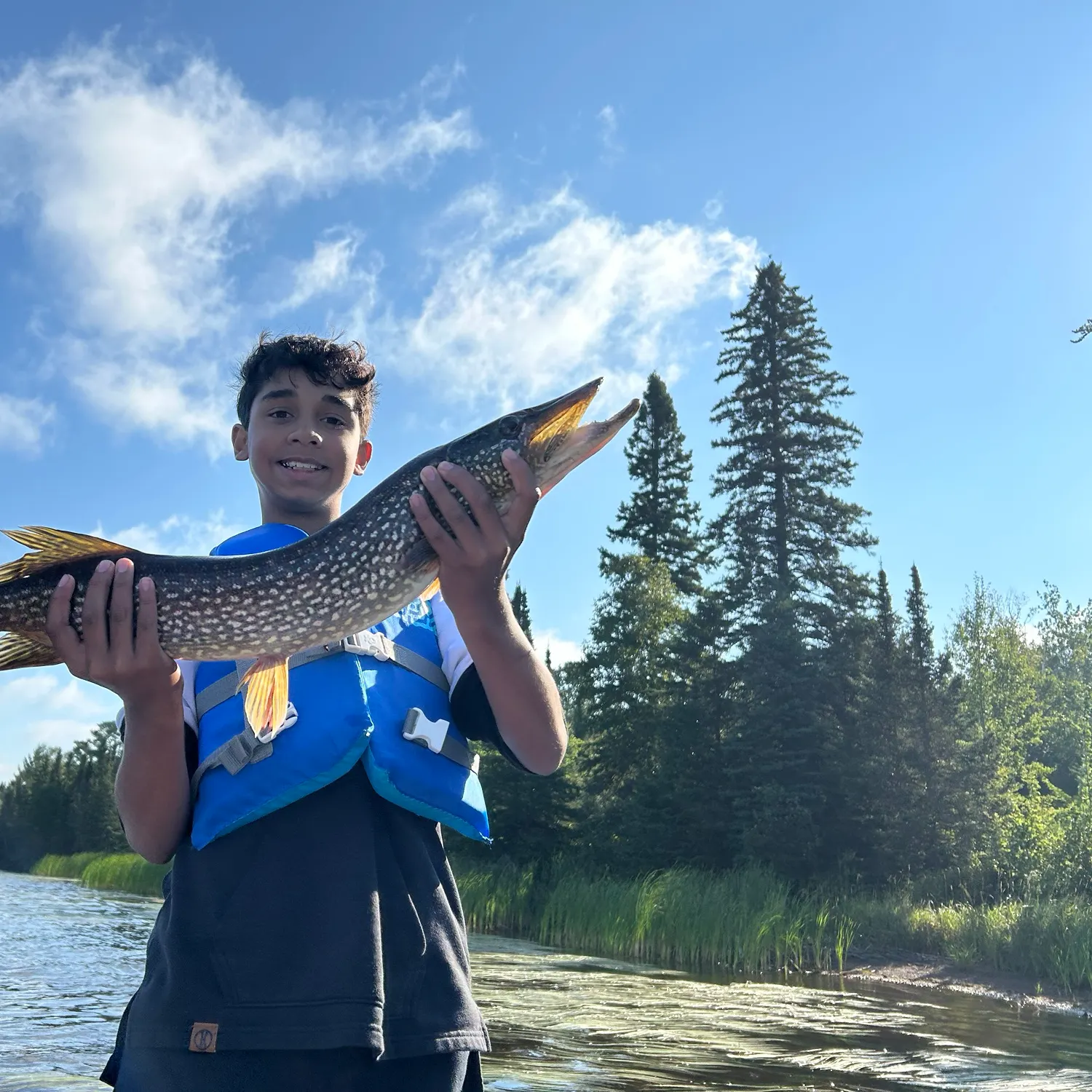 Northern pike caught on Fishbrain