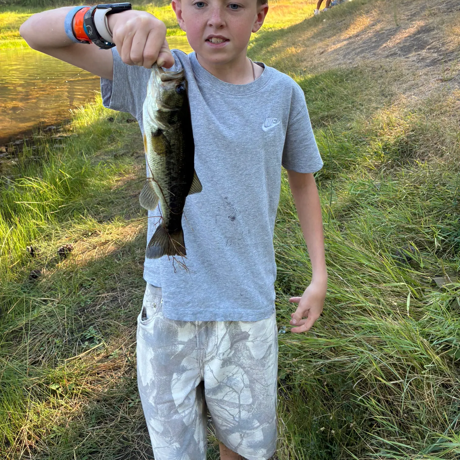 Smallmouth bass caught on Fishbrain