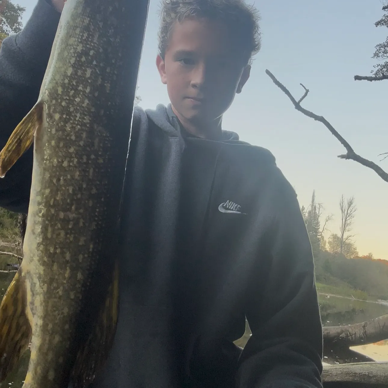 Northern pike caught on Fishbrain