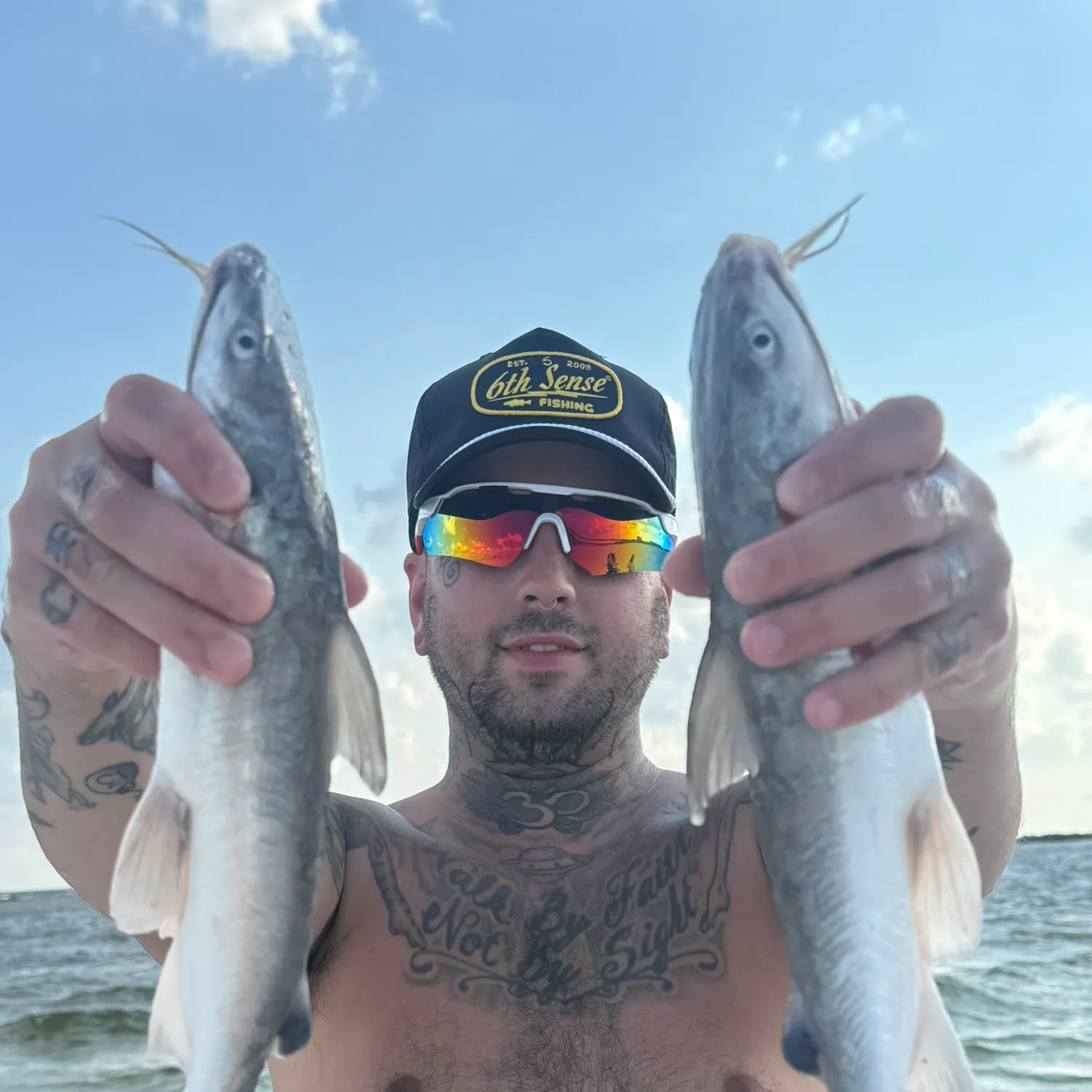 The most recent Gafftopsail sea catfish catches on Fishbrain