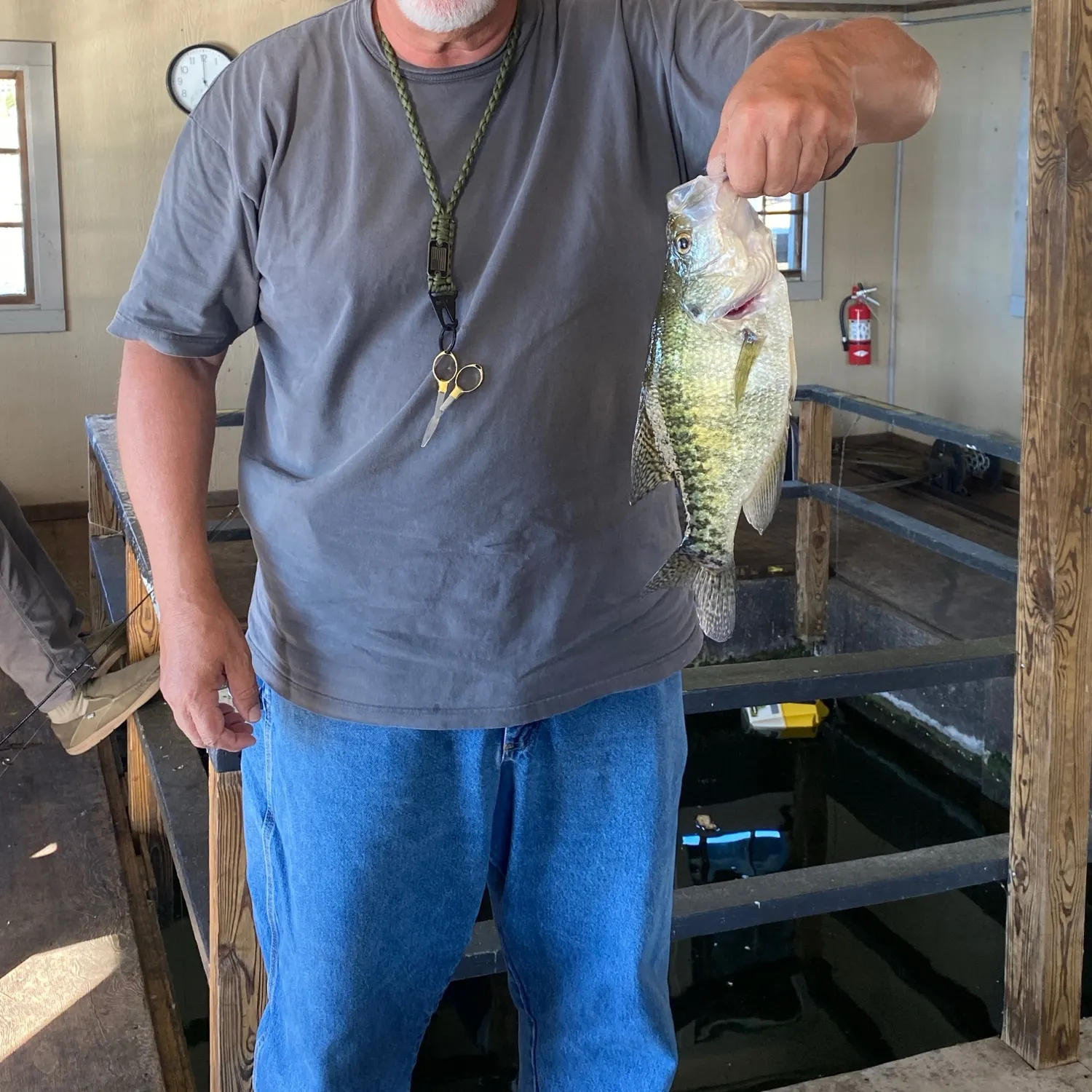 White crappie caught on Fishbrain