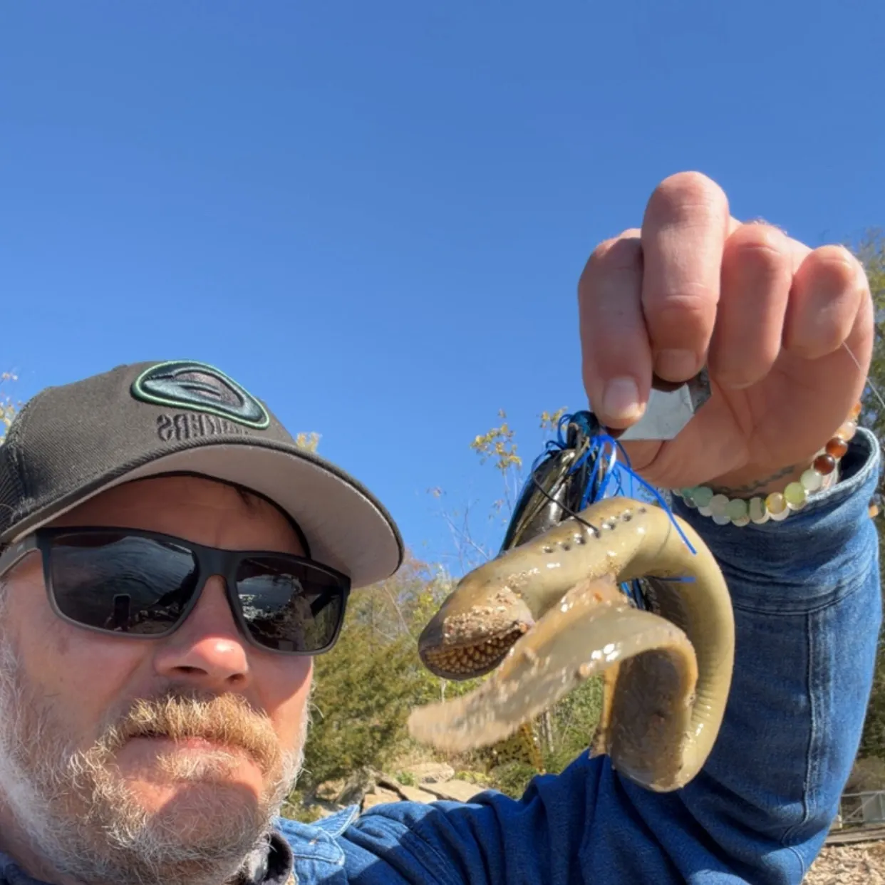 Fish caught on Fishbrain