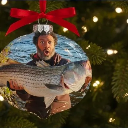 The most recent Striped bass catches on Fishbrain