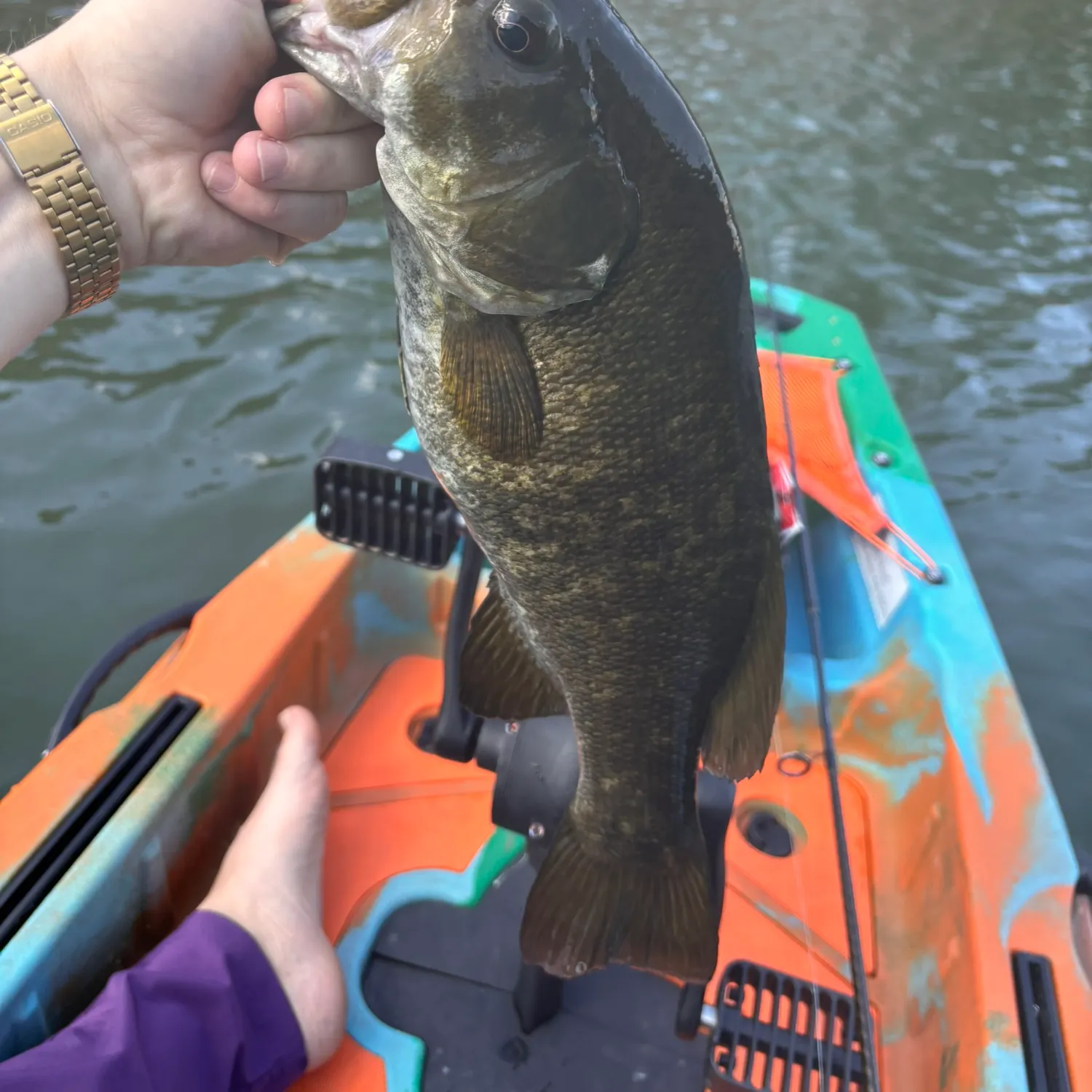 Smallmouth bass caught on Fishbrain