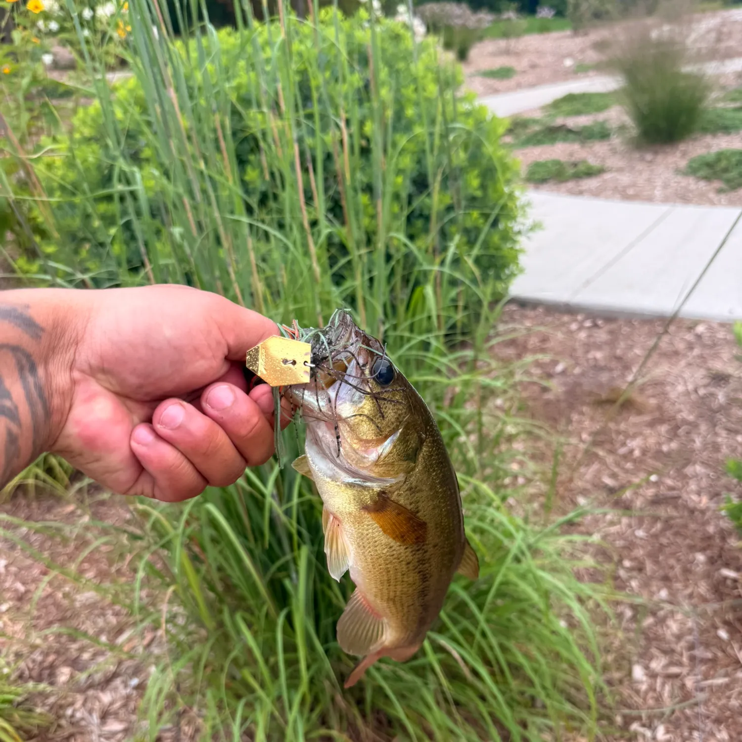 catch